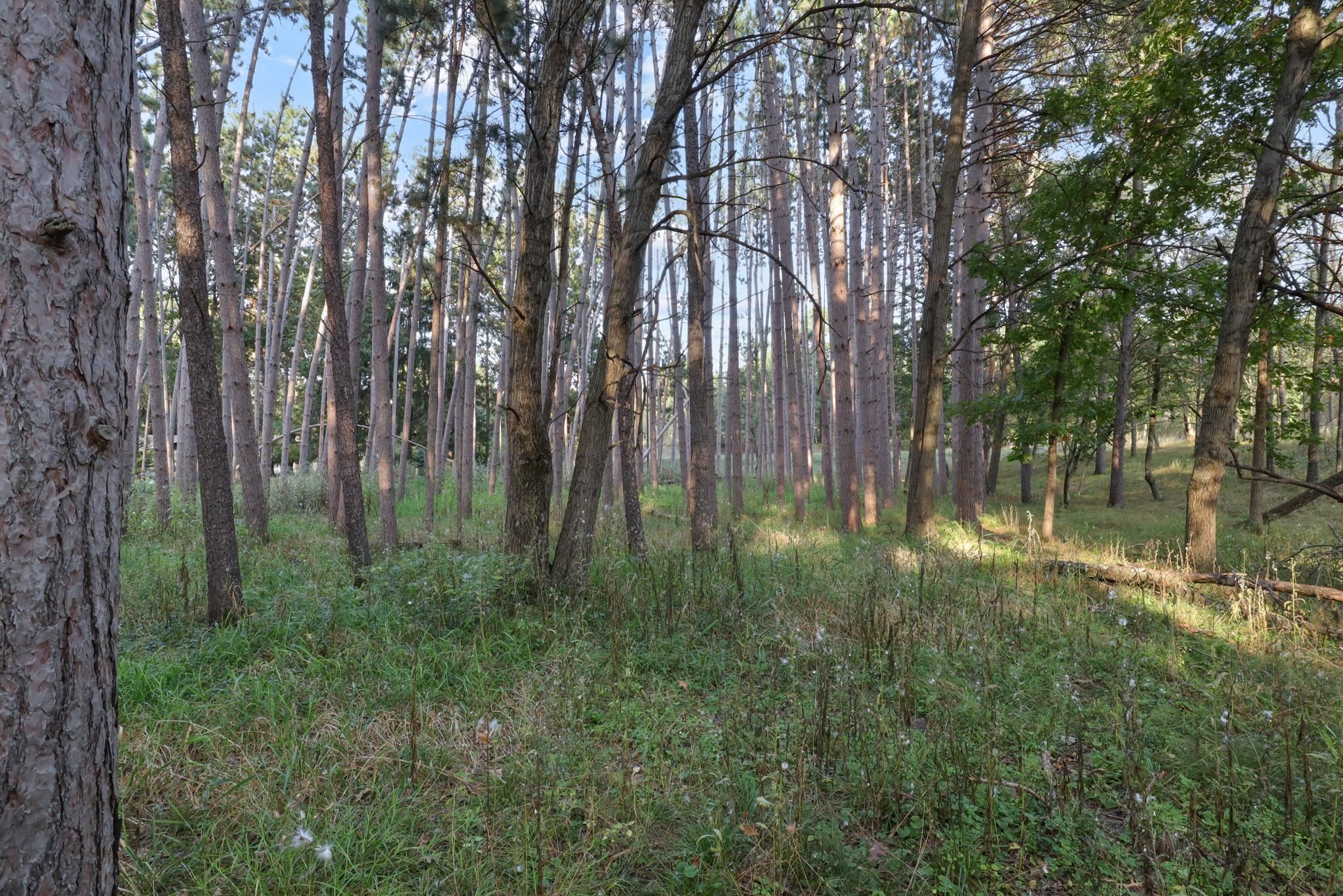 1002/1004 MOOR COURT, Nekoosa, Wisconsin 54457, ,Land,For Sale,1002/1004 MOOR COURT,22504485