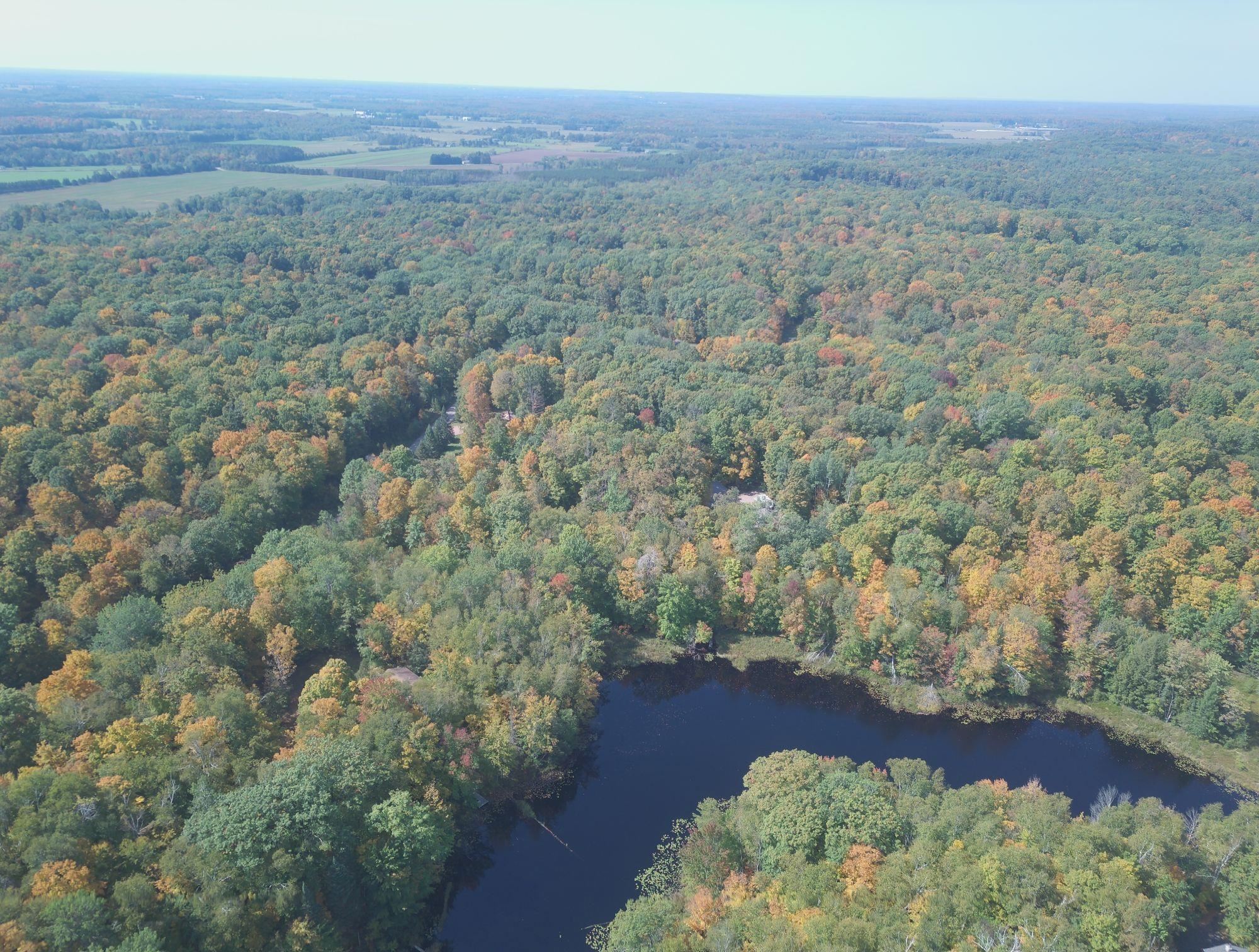 W9196 BIRCHWOOD LANE, Deerbrook, Wisconsin 54424, 2 Bedrooms Bedrooms, ,1 BathroomBathrooms,Residential,For Sale,W9196 BIRCHWOOD LANE,22504500