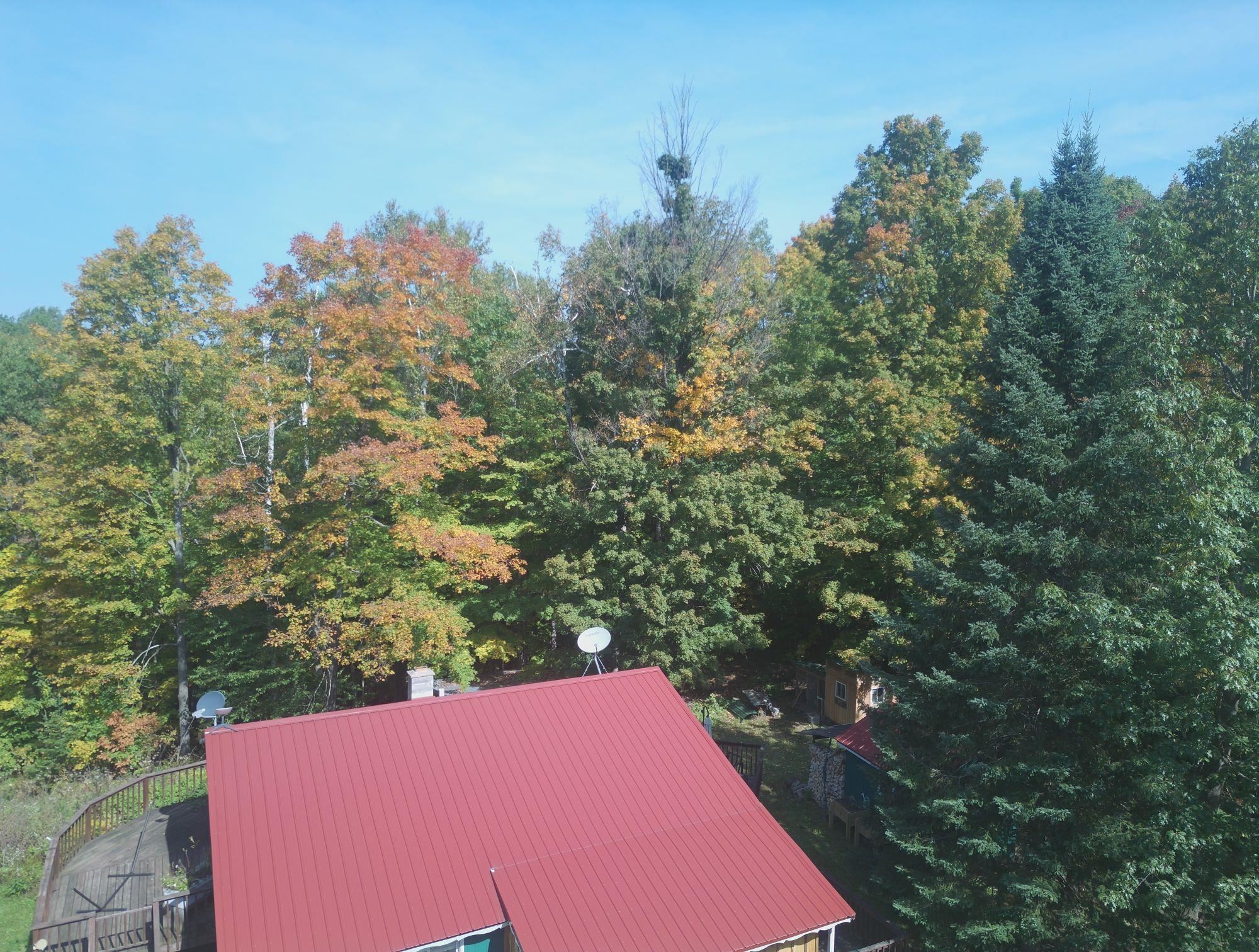 W9196 BIRCHWOOD LANE, Deerbrook, Wisconsin 54424, 2 Bedrooms Bedrooms, ,1 BathroomBathrooms,Residential,For Sale,W9196 BIRCHWOOD LANE,22504500