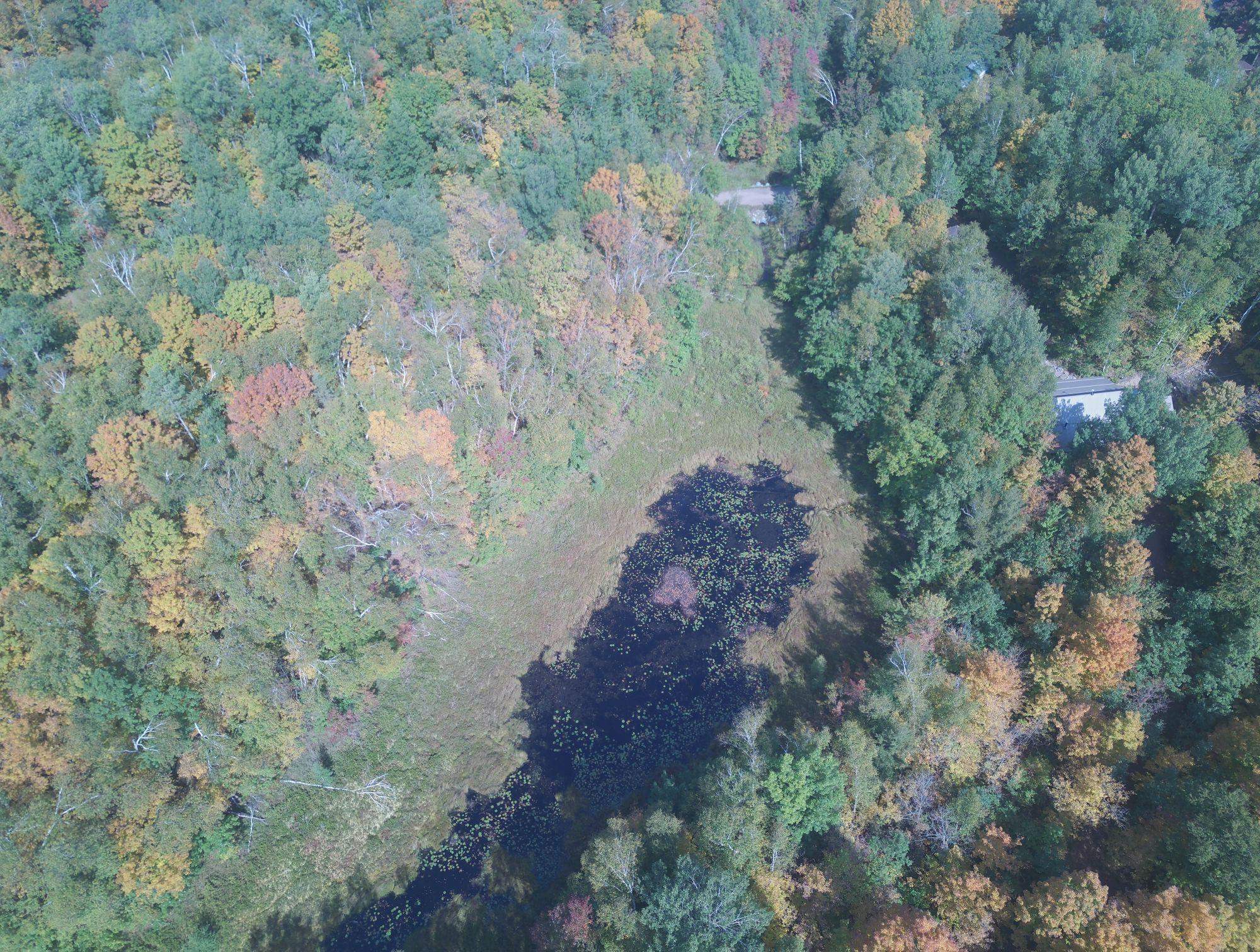 W9196 BIRCHWOOD LANE, Deerbrook, Wisconsin 54424, 2 Bedrooms Bedrooms, ,1 BathroomBathrooms,Residential,For Sale,W9196 BIRCHWOOD LANE,22504500