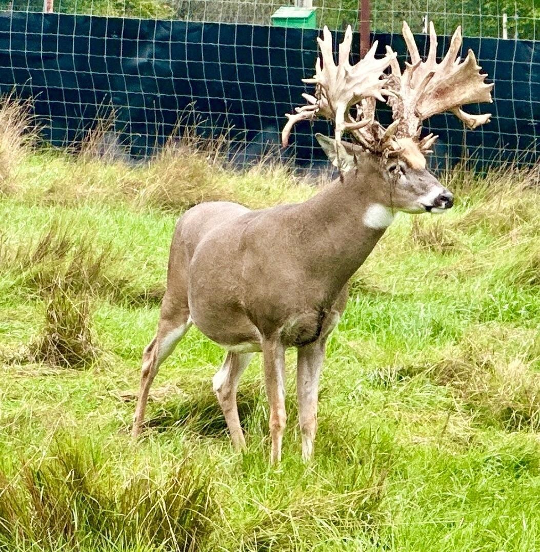 9880 SIEMERING DRIVE, Tomahawk, Wisconsin 54487, ,Commercial/industrial,For Sale,9880 SIEMERING DRIVE,22504528