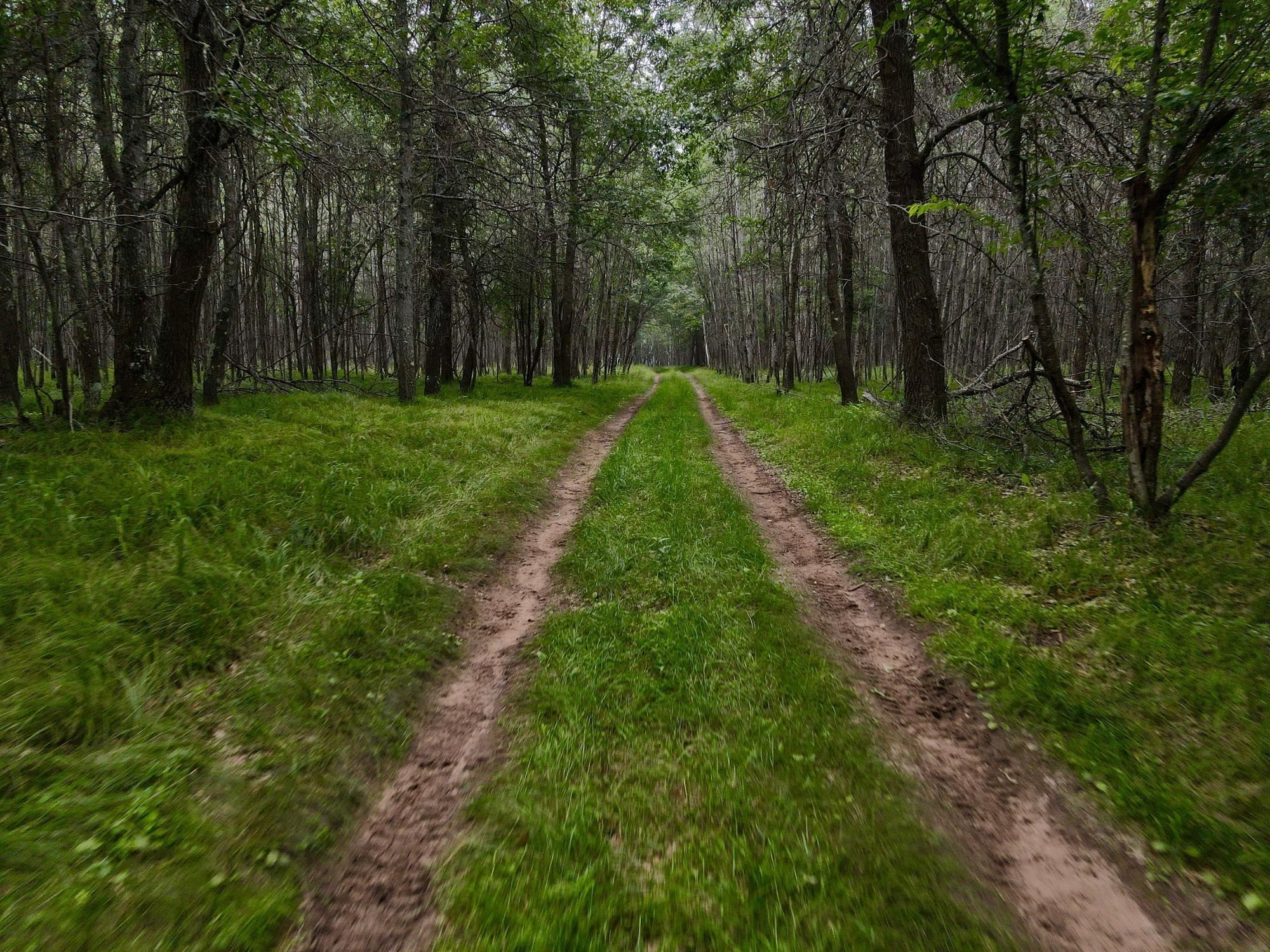 9880 SIEMERING DRIVE, Tomahawk, Wisconsin 54487, ,Commercial/industrial,For Sale,9880 SIEMERING DRIVE,22504528