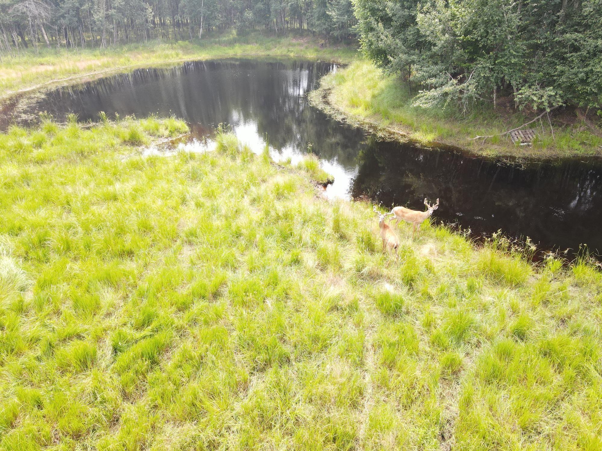 9880 SIEMERING DRIVE, Tomahawk, Wisconsin 54487, ,Commercial/industrial,For Sale,9880 SIEMERING DRIVE,22504528