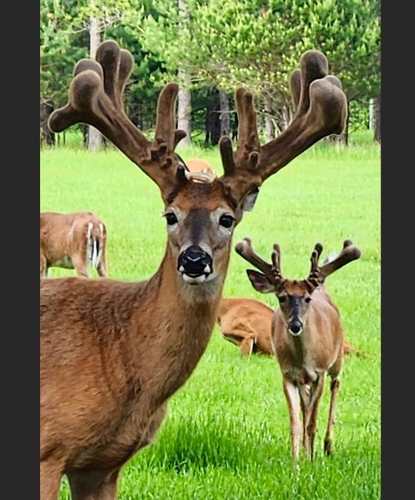 9880 SIEMERING DRIVE, Tomahawk, Wisconsin 54487, ,Commercial/industrial,For Sale,9880 SIEMERING DRIVE,22504528