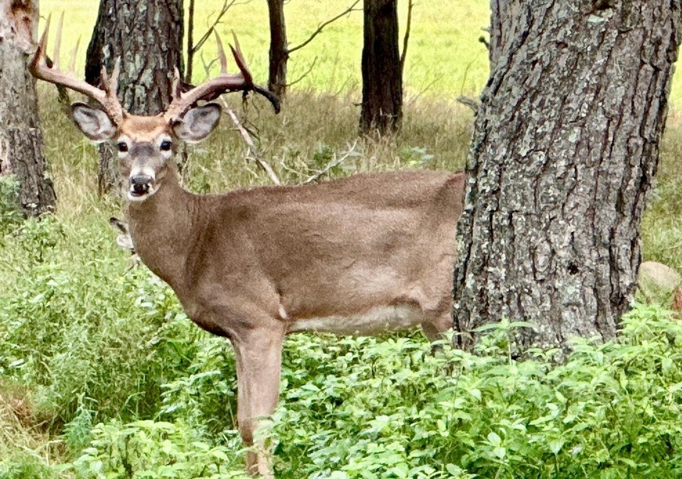 9880 SIEMERING DRIVE, Tomahawk, Wisconsin 54487, ,Commercial/industrial,For Sale,9880 SIEMERING DRIVE,22504528