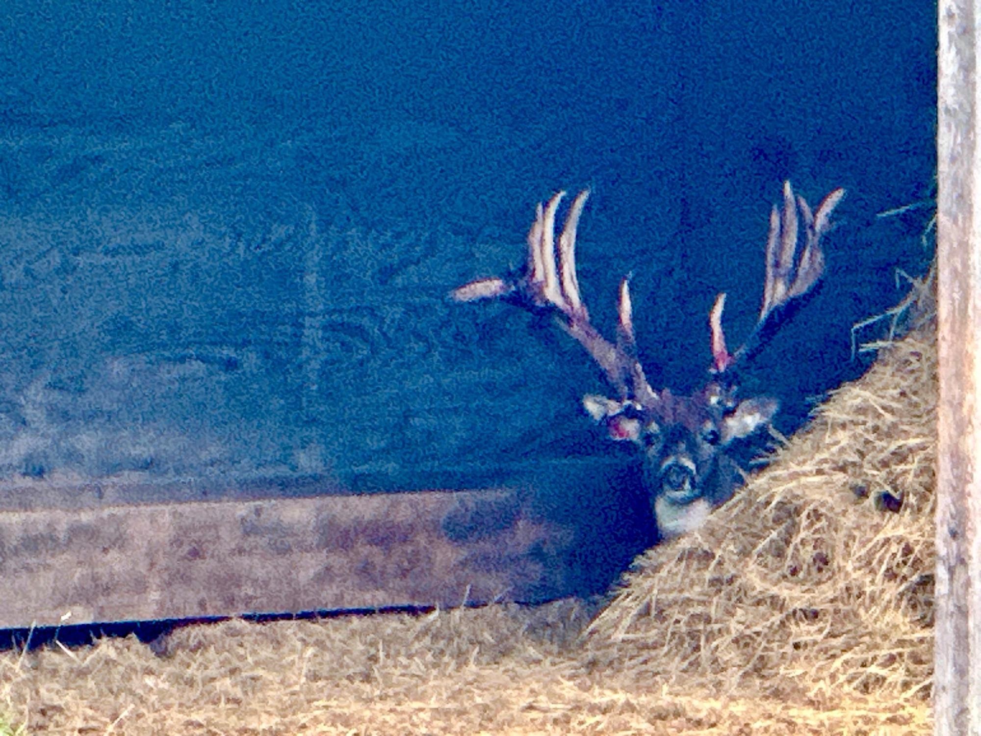 9880 SIEMERING DRIVE, Tomahawk, Wisconsin 54487, ,Commercial/industrial,For Sale,9880 SIEMERING DRIVE,22504528