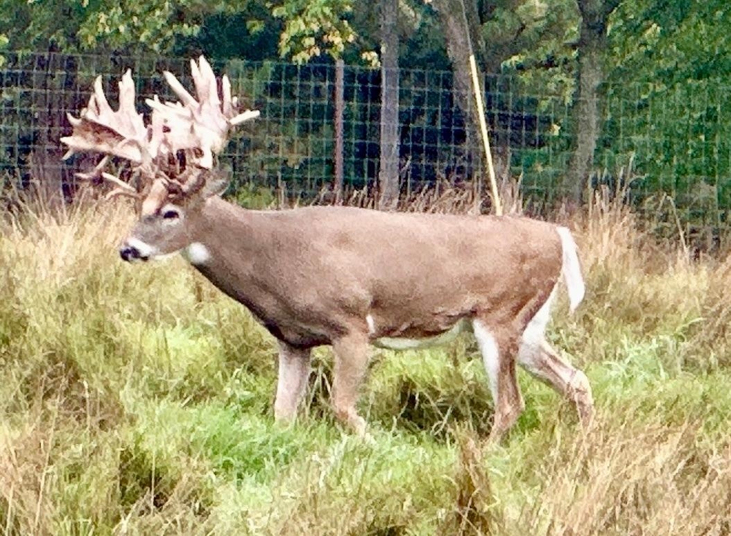 9880 SIEMERING DRIVE, Tomahawk, Wisconsin 54487, ,Commercial/industrial,For Sale,9880 SIEMERING DRIVE,22504528