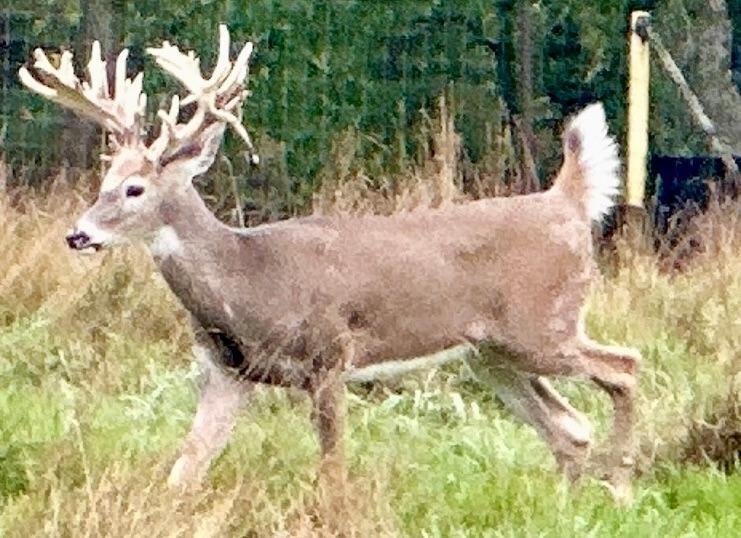 9880 SIEMERING DRIVE, Tomahawk, Wisconsin 54487, ,Commercial/industrial,For Sale,9880 SIEMERING DRIVE,22504528