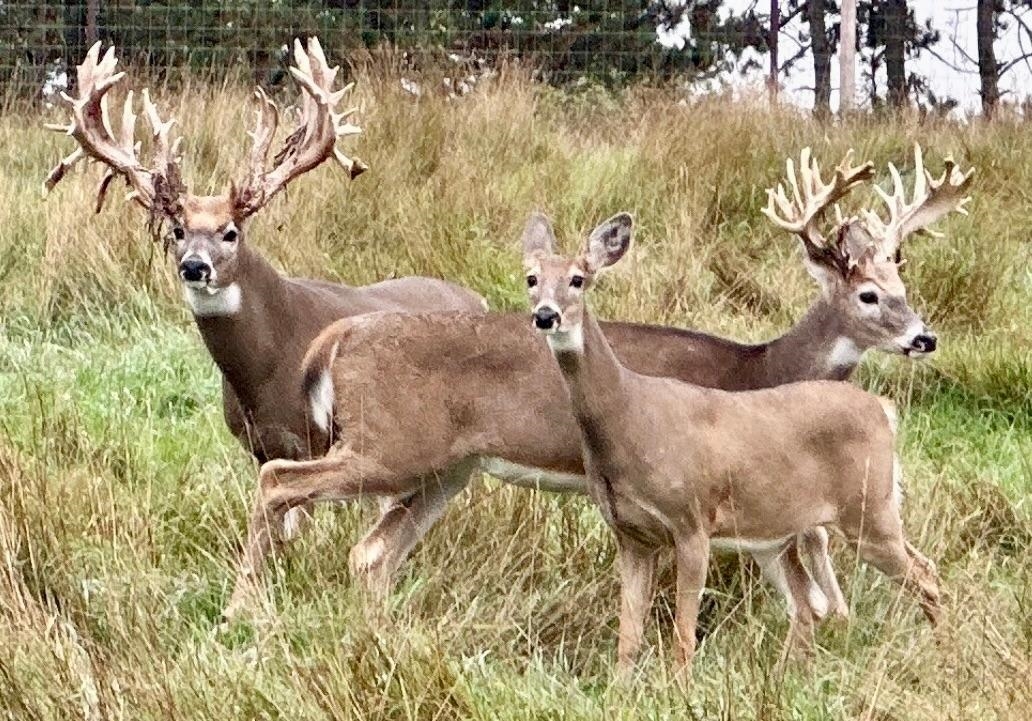 9880 SIEMERING DRIVE, Tomahawk, Wisconsin 54487, ,Commercial/industrial,For Sale,9880 SIEMERING DRIVE,22504528