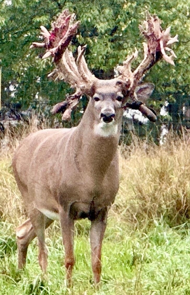 9880 SIEMERING DRIVE, Tomahawk, Wisconsin 54487, ,Commercial/industrial,For Sale,9880 SIEMERING DRIVE,22504528