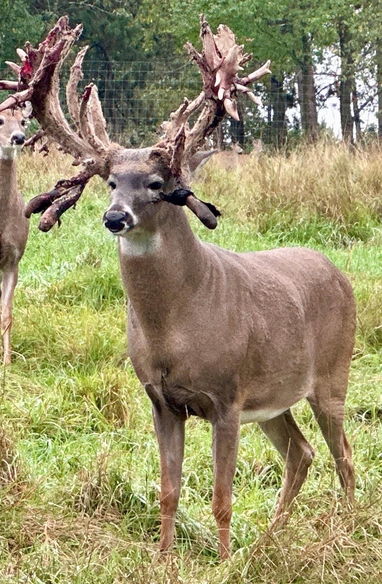 9880 SIEMERING DRIVE, Tomahawk, Wisconsin 54487, ,Commercial/industrial,For Sale,9880 SIEMERING DRIVE,22504528