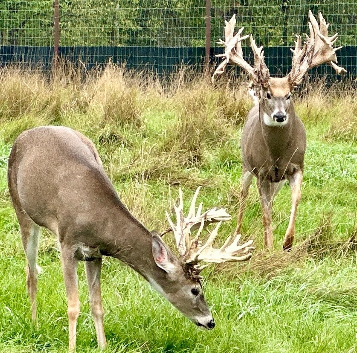 9880 SIEMERING DRIVE, Tomahawk, Wisconsin 54487, ,Commercial/industrial,For Sale,9880 SIEMERING DRIVE,22504528