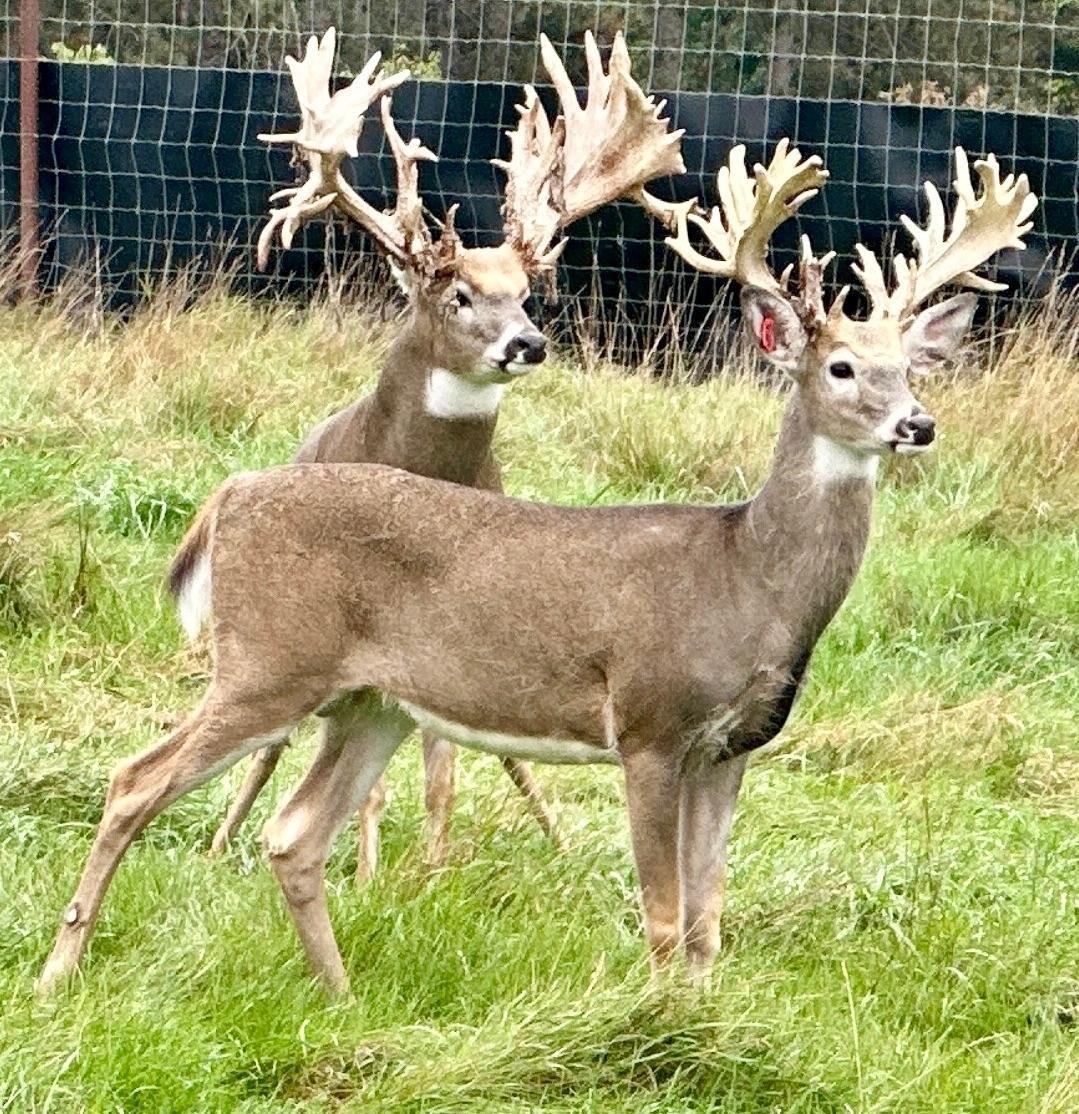 9880 SIEMERING DRIVE, Tomahawk, Wisconsin 54487, ,Commercial/industrial,For Sale,9880 SIEMERING DRIVE,22504528