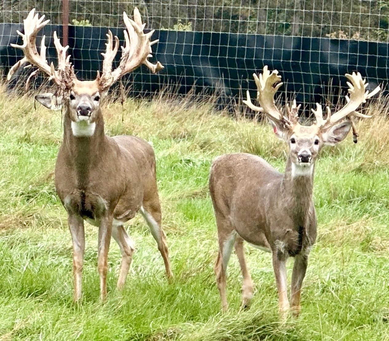 9880 SIEMERING DRIVE, Tomahawk, Wisconsin 54487, ,Commercial/industrial,For Sale,9880 SIEMERING DRIVE,22504528