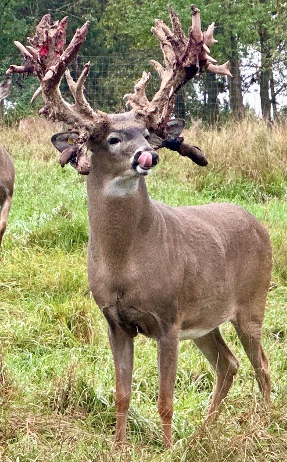 9880 SIEMERING DRIVE, Tomahawk, Wisconsin 54487, ,Commercial/industrial,For Sale,9880 SIEMERING DRIVE,22504528