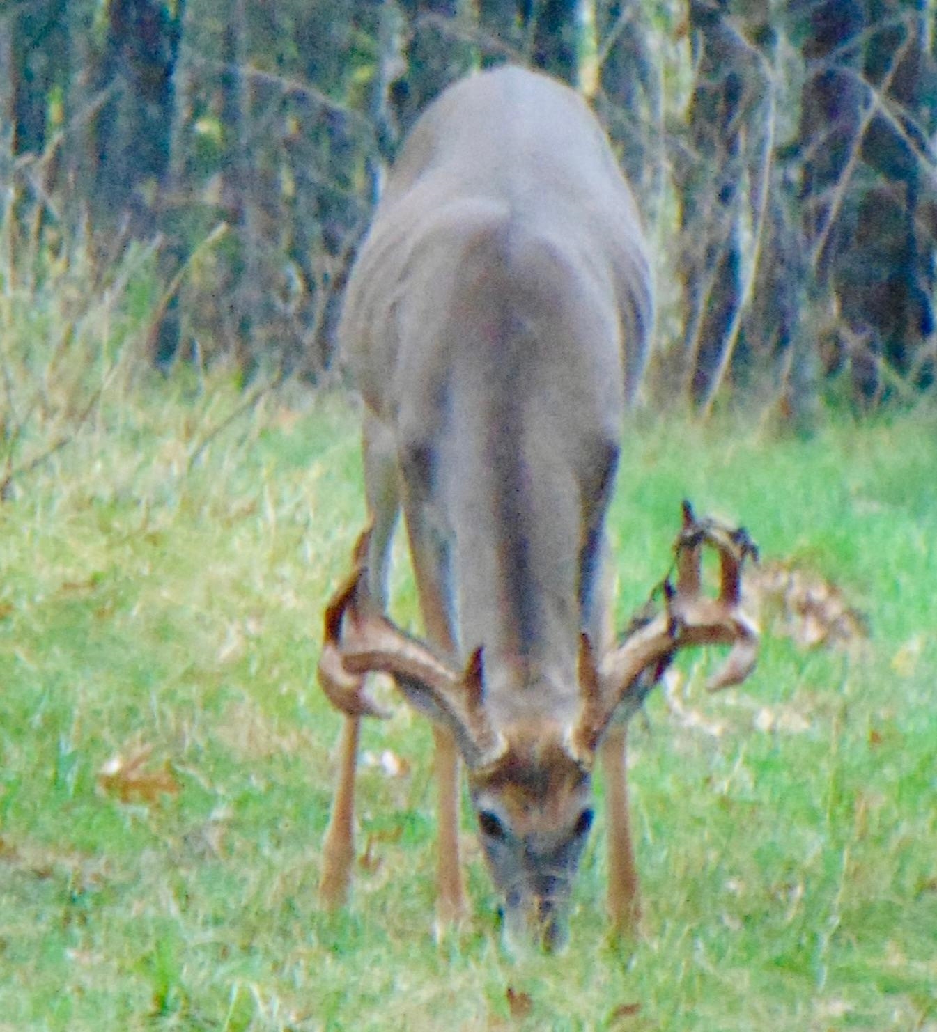 9880 SIEMERING DRIVE, Tomahawk, Wisconsin 54487, ,Commercial/industrial,For Sale,9880 SIEMERING DRIVE,22504528
