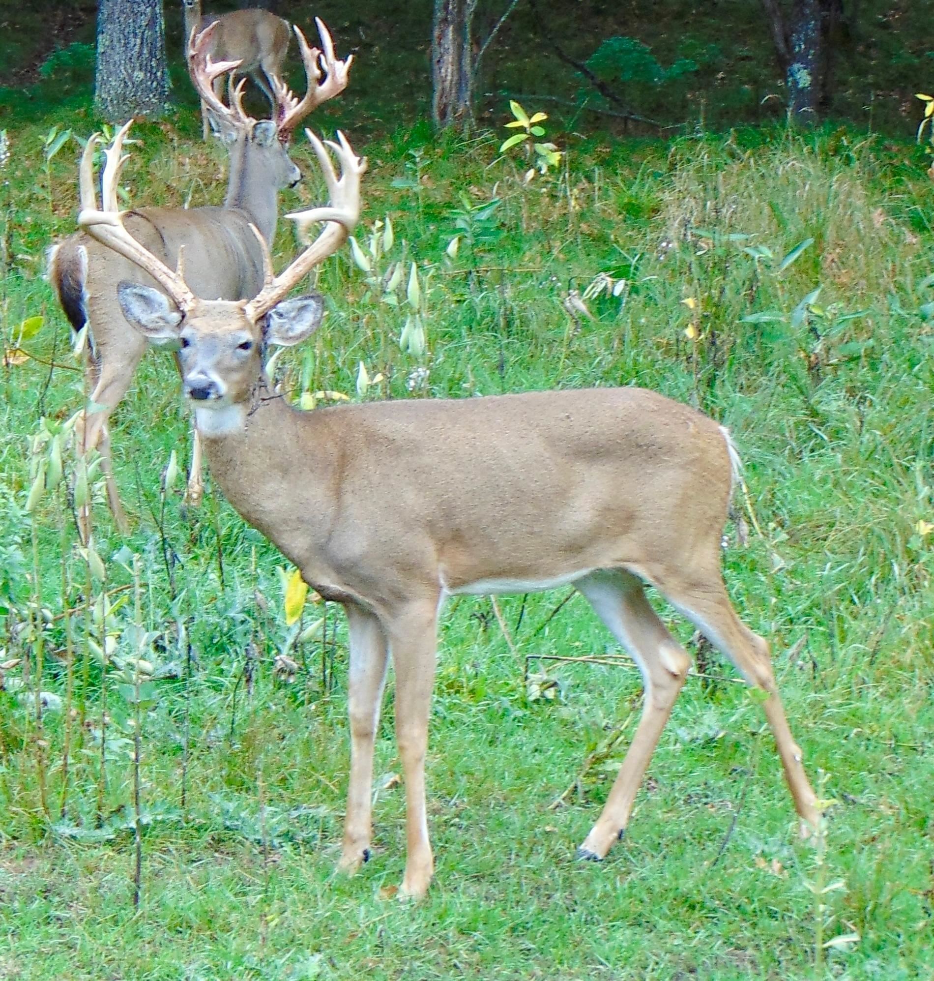 9880 SIEMERING DRIVE, Tomahawk, Wisconsin 54487, ,Commercial/industrial,For Sale,9880 SIEMERING DRIVE,22504528