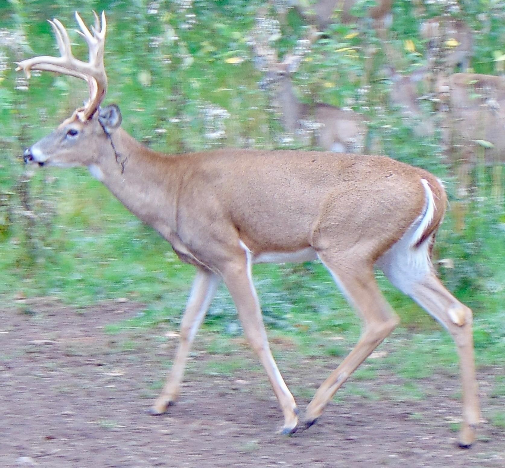 9880 SIEMERING DRIVE, Tomahawk, Wisconsin 54487, ,Commercial/industrial,For Sale,9880 SIEMERING DRIVE,22504528