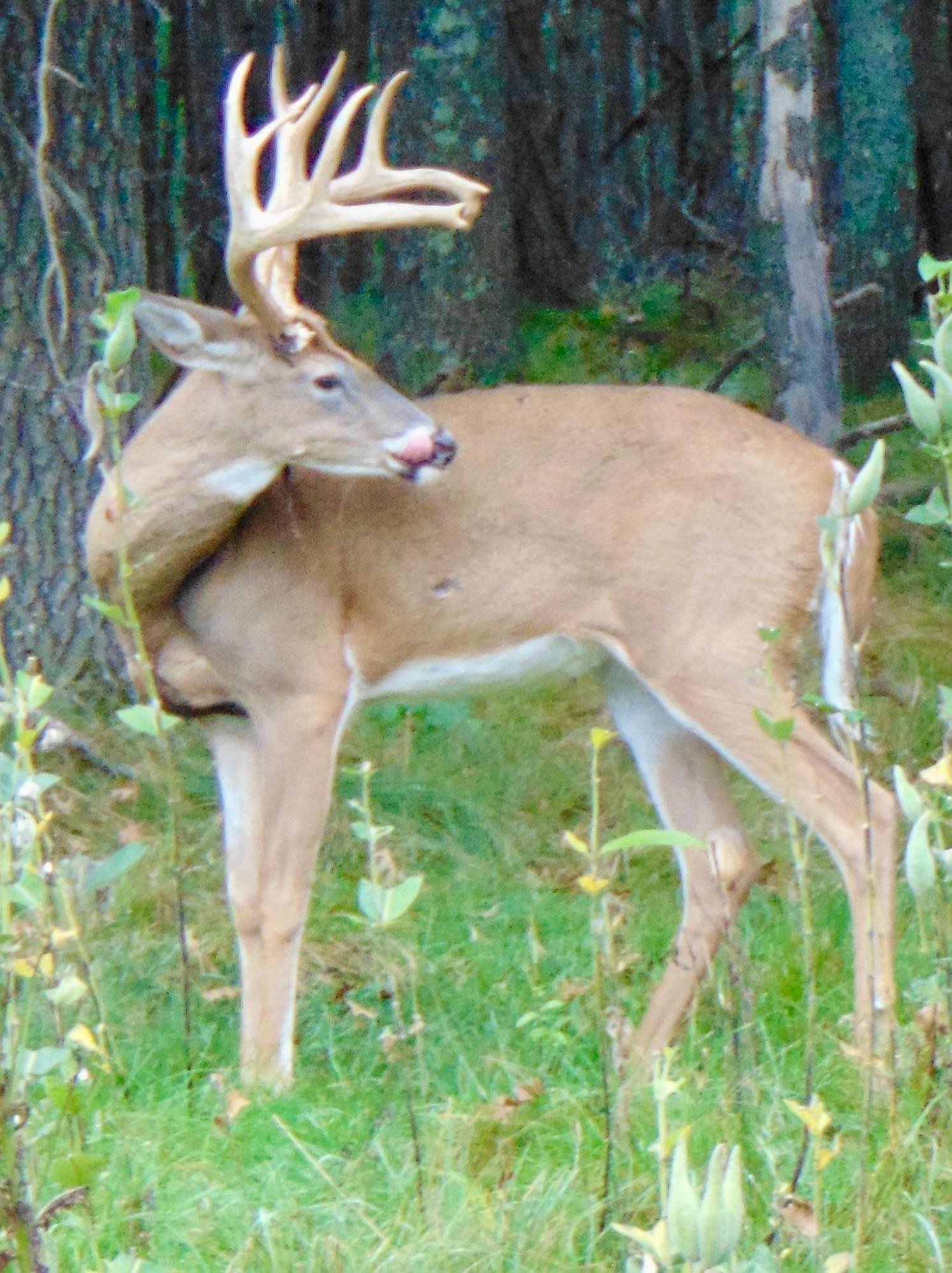 9880 SIEMERING DRIVE, Tomahawk, Wisconsin 54487, ,Commercial/industrial,For Sale,9880 SIEMERING DRIVE,22504528