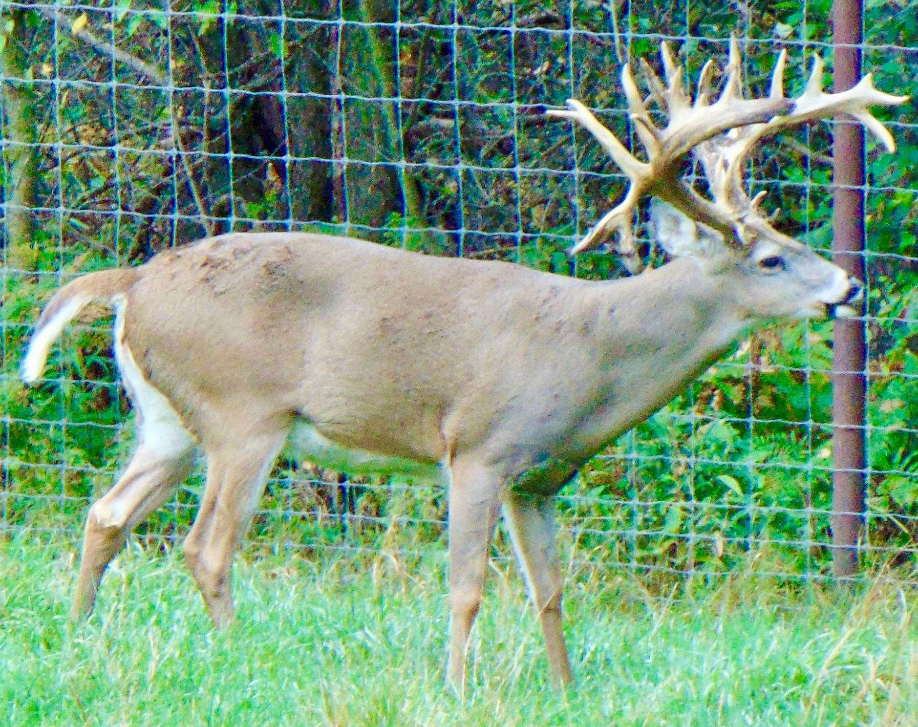 9880 SIEMERING DRIVE, Tomahawk, Wisconsin 54487, ,Commercial/industrial,For Sale,9880 SIEMERING DRIVE,22504528