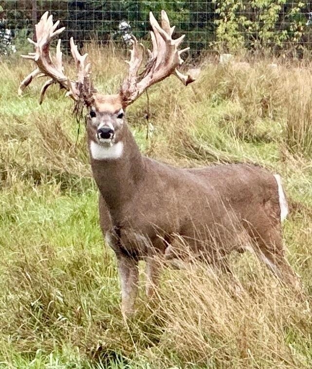 9880 SIEMERING DRIVE, Tomahawk, Wisconsin 54487, ,Commercial/industrial,For Sale,9880 SIEMERING DRIVE,22504528