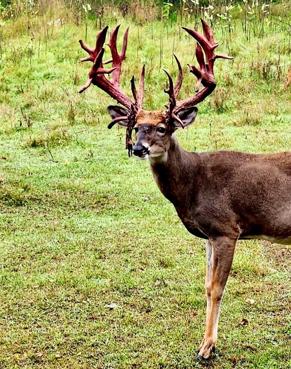 9880 SIEMERING DRIVE, Tomahawk, Wisconsin 54487, ,Commercial/industrial,For Sale,9880 SIEMERING DRIVE,22504528