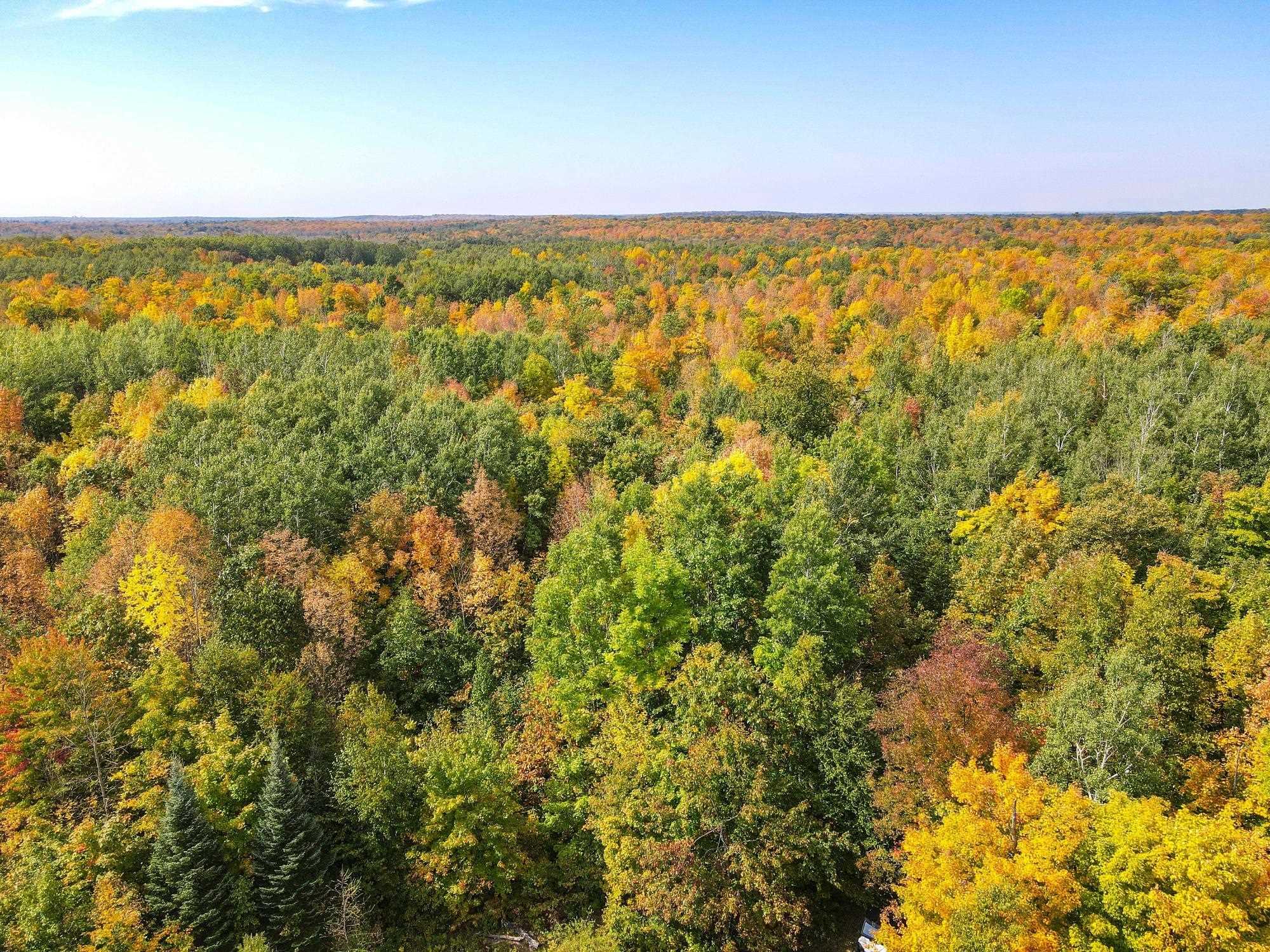 72281 HENNES ROAD, Glidden, Wisconsin 54527, ,Land,For Sale,72281 HENNES ROAD,22504532