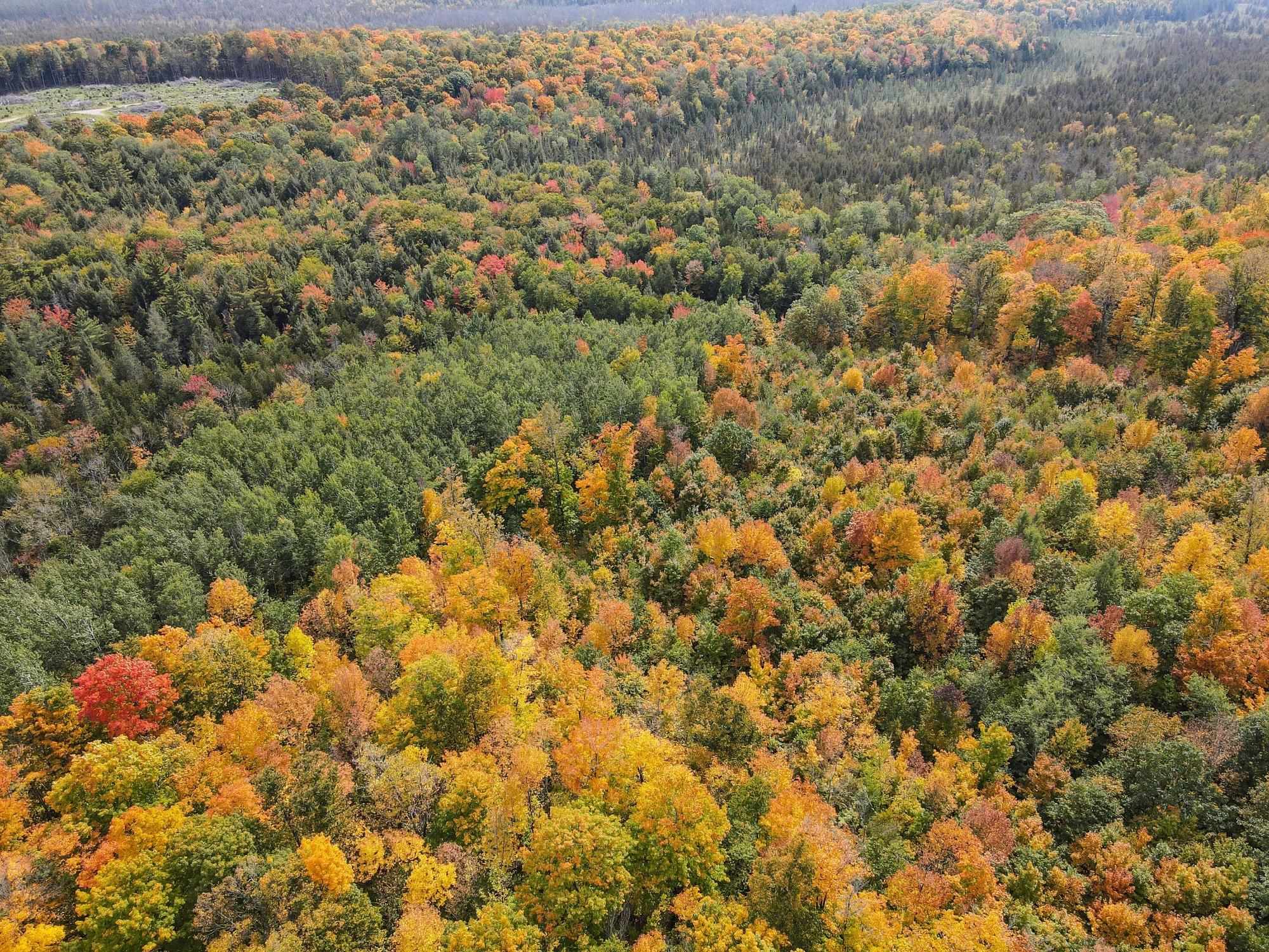 72281 HENNES ROAD, Glidden, Wisconsin 54527, ,Land,For Sale,72281 HENNES ROAD,22504532