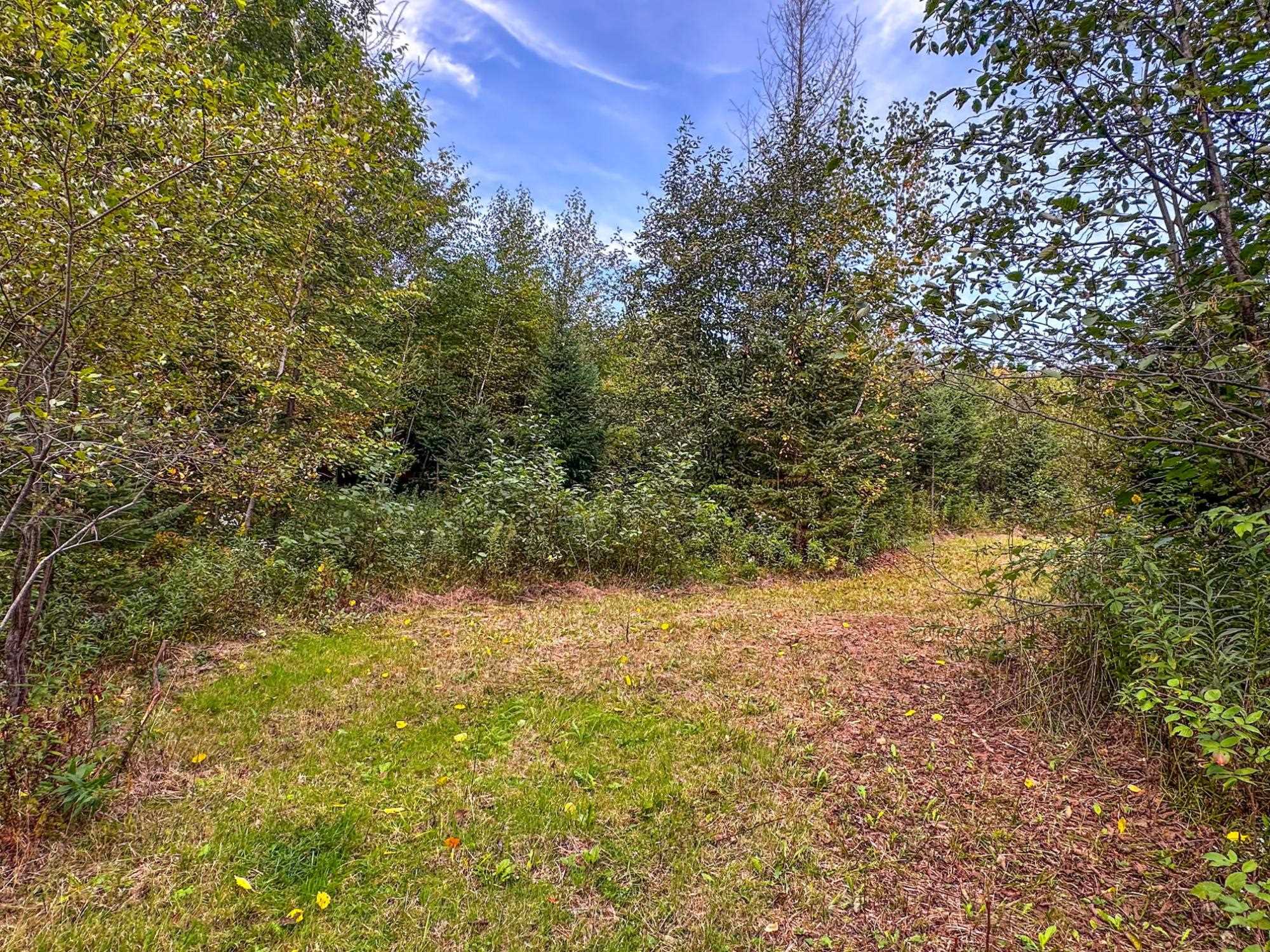 72281 HENNES ROAD, Glidden, Wisconsin 54527, ,Land,For Sale,72281 HENNES ROAD,22504532