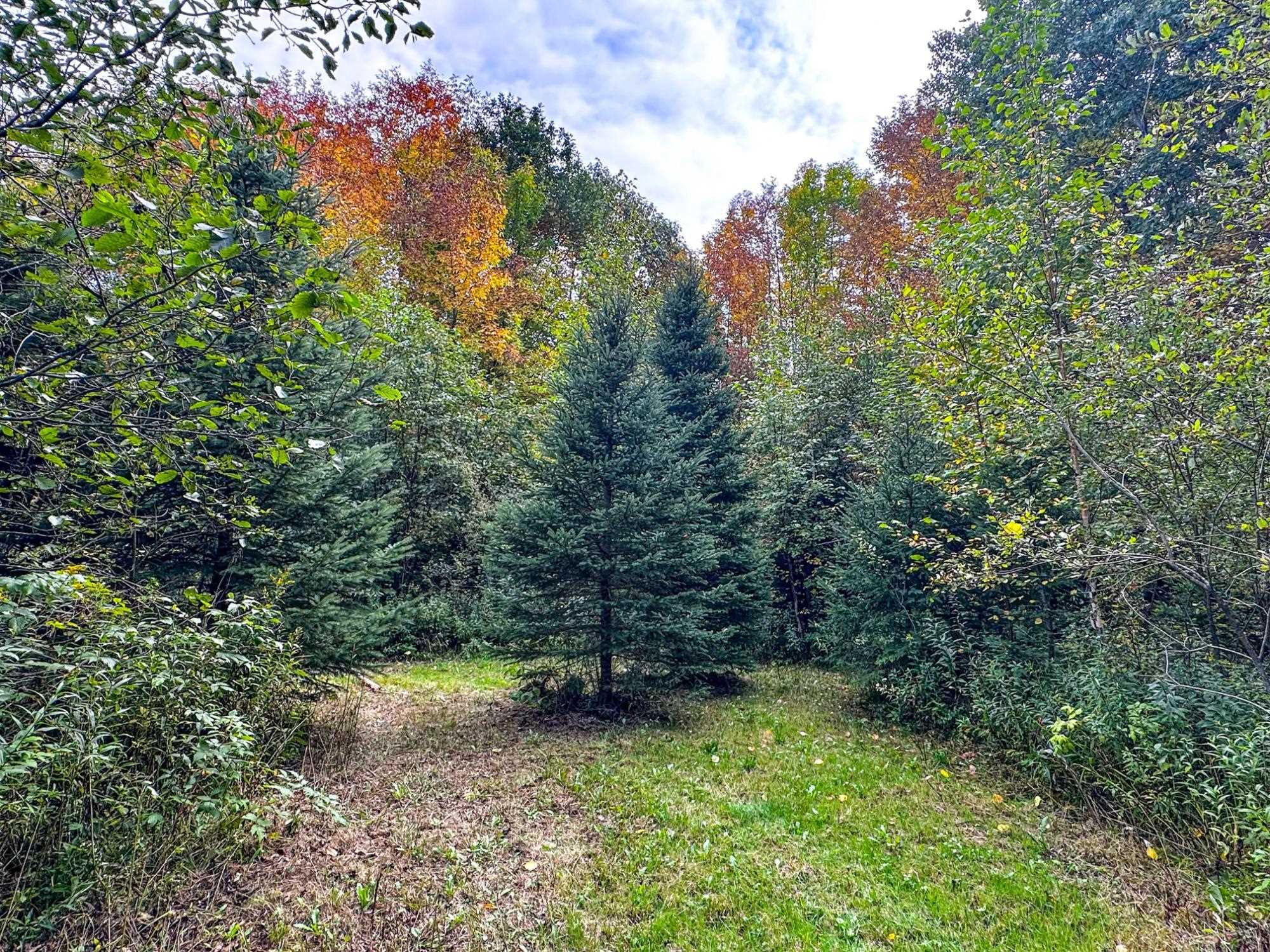 72281 HENNES ROAD, Glidden, Wisconsin 54527, ,Land,For Sale,72281 HENNES ROAD,22504532