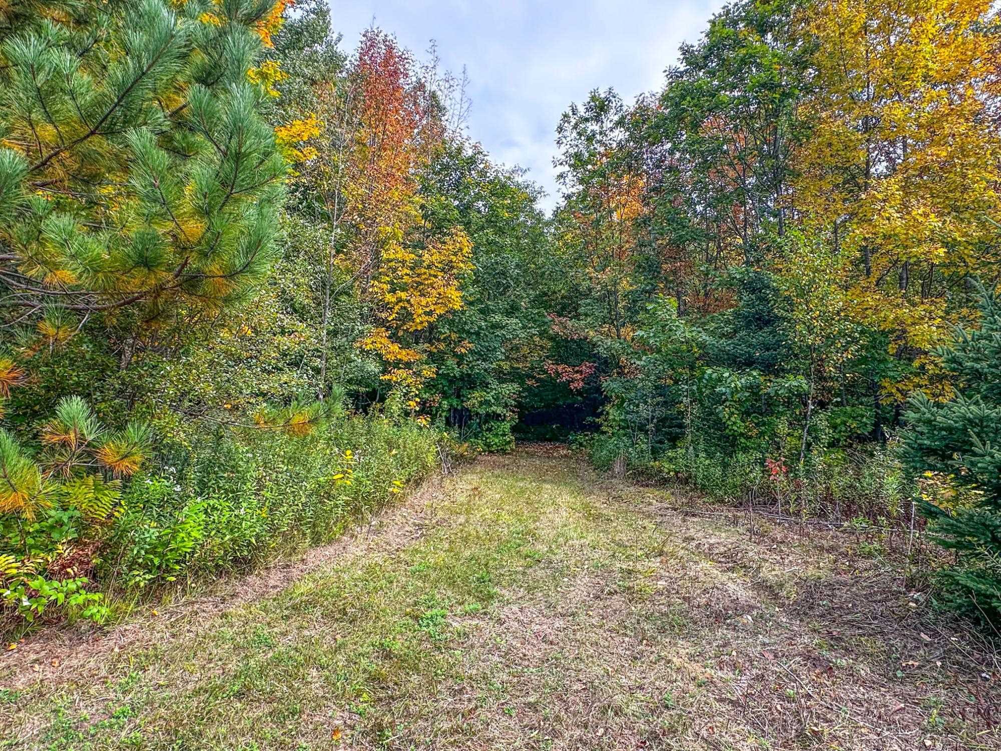 72281 HENNES ROAD, Glidden, Wisconsin 54527, ,Land,For Sale,72281 HENNES ROAD,22504532