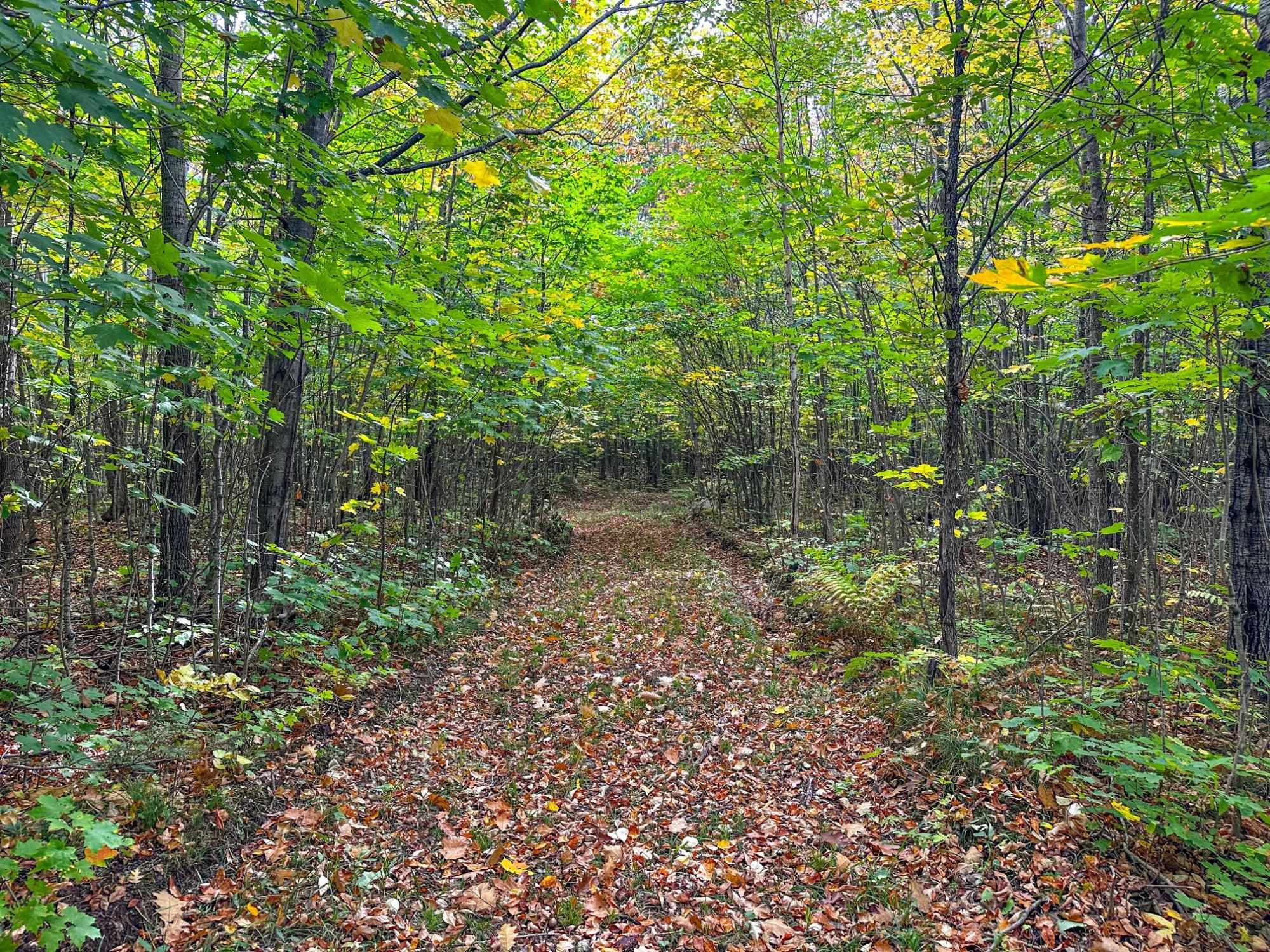 72281 HENNES ROAD, Glidden, Wisconsin 54527, ,Land,For Sale,72281 HENNES ROAD,22504532