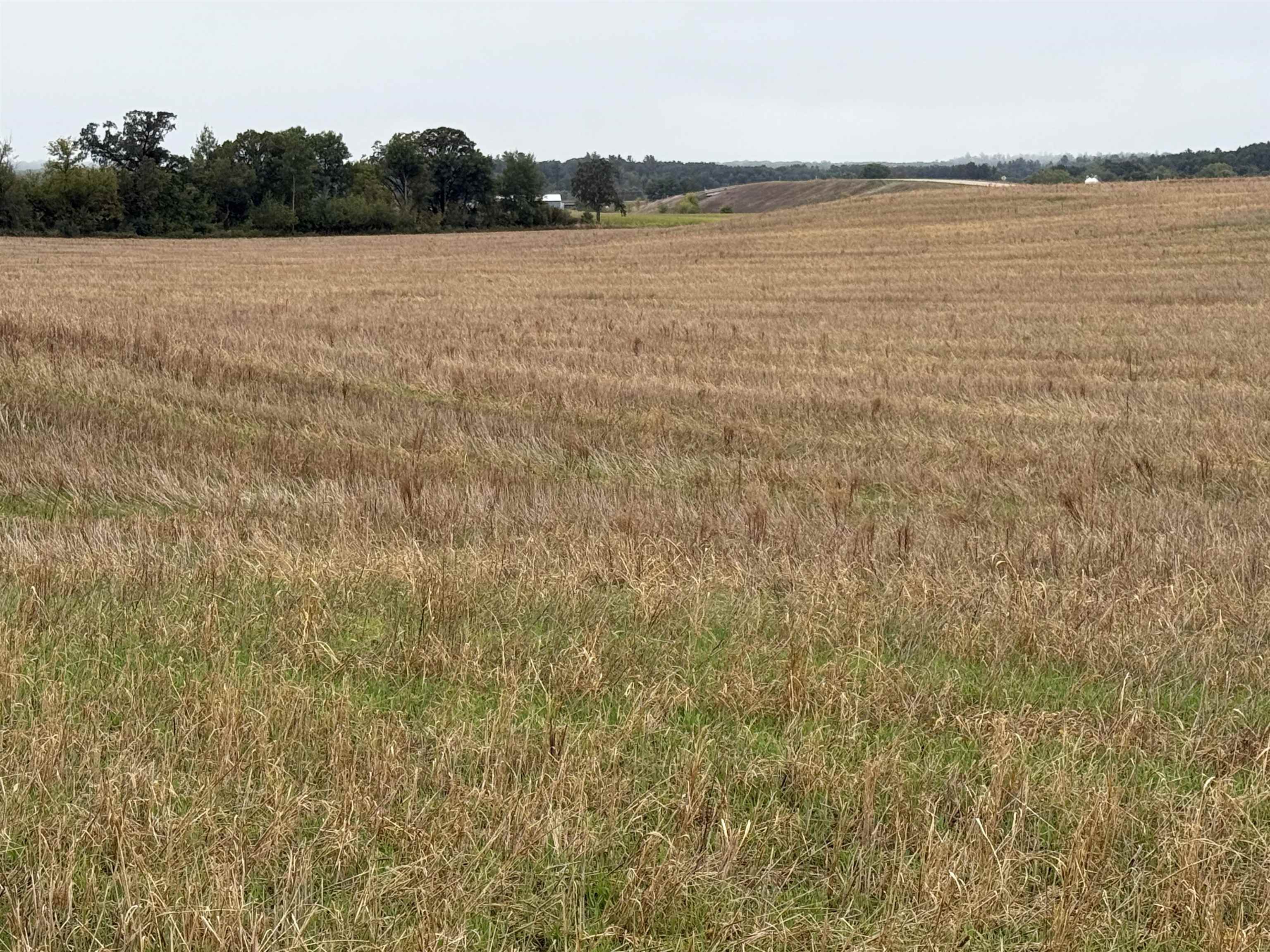 00 COUNTY ROAD V, Amherst, Wisconsin 54406, ,Commercial/industrial,For Sale,00 COUNTY ROAD V,22504555