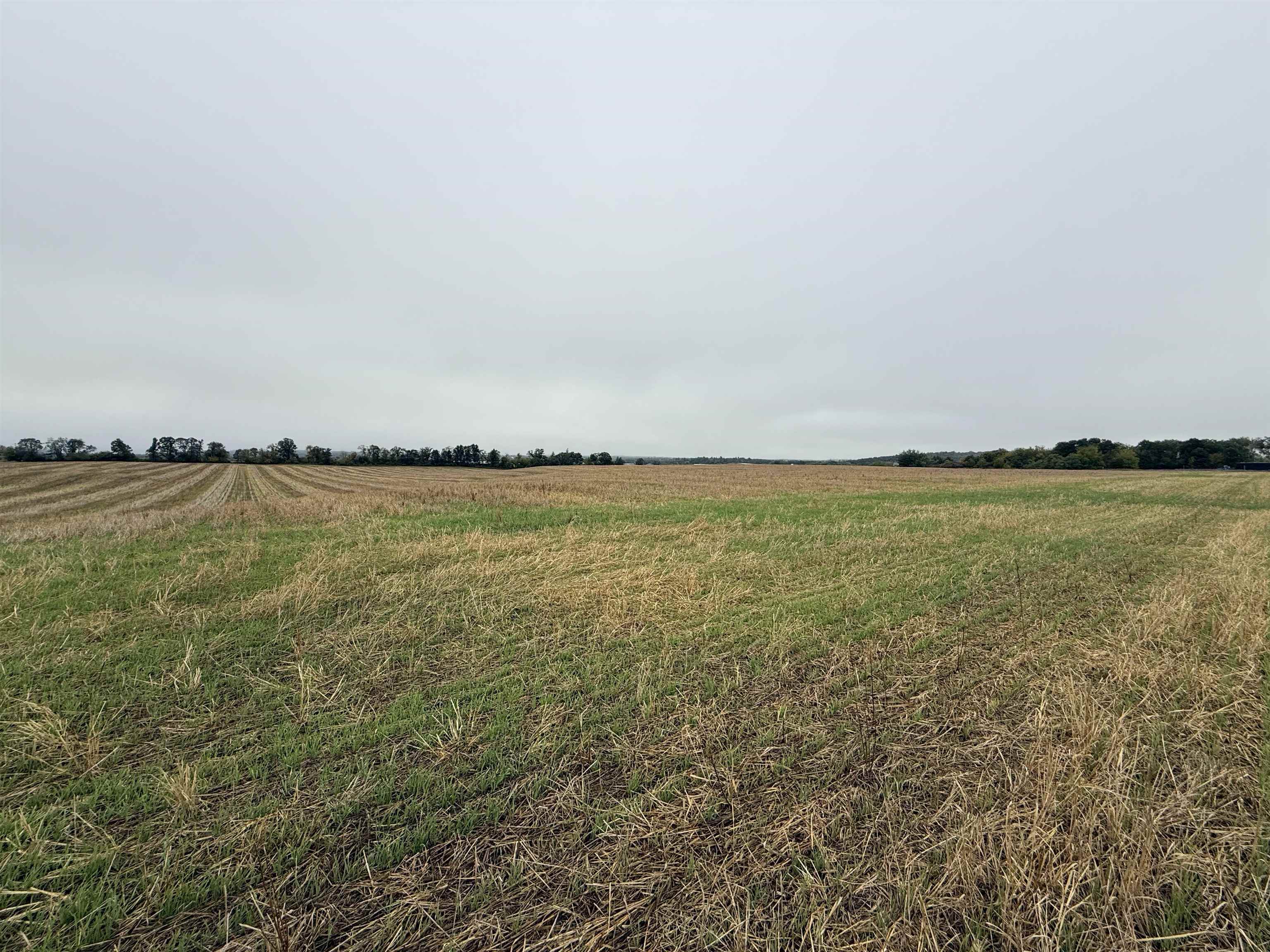 00 COUNTY ROAD V, Amherst, Wisconsin 54406, ,Commercial/industrial,For Sale,00 COUNTY ROAD V,22504555