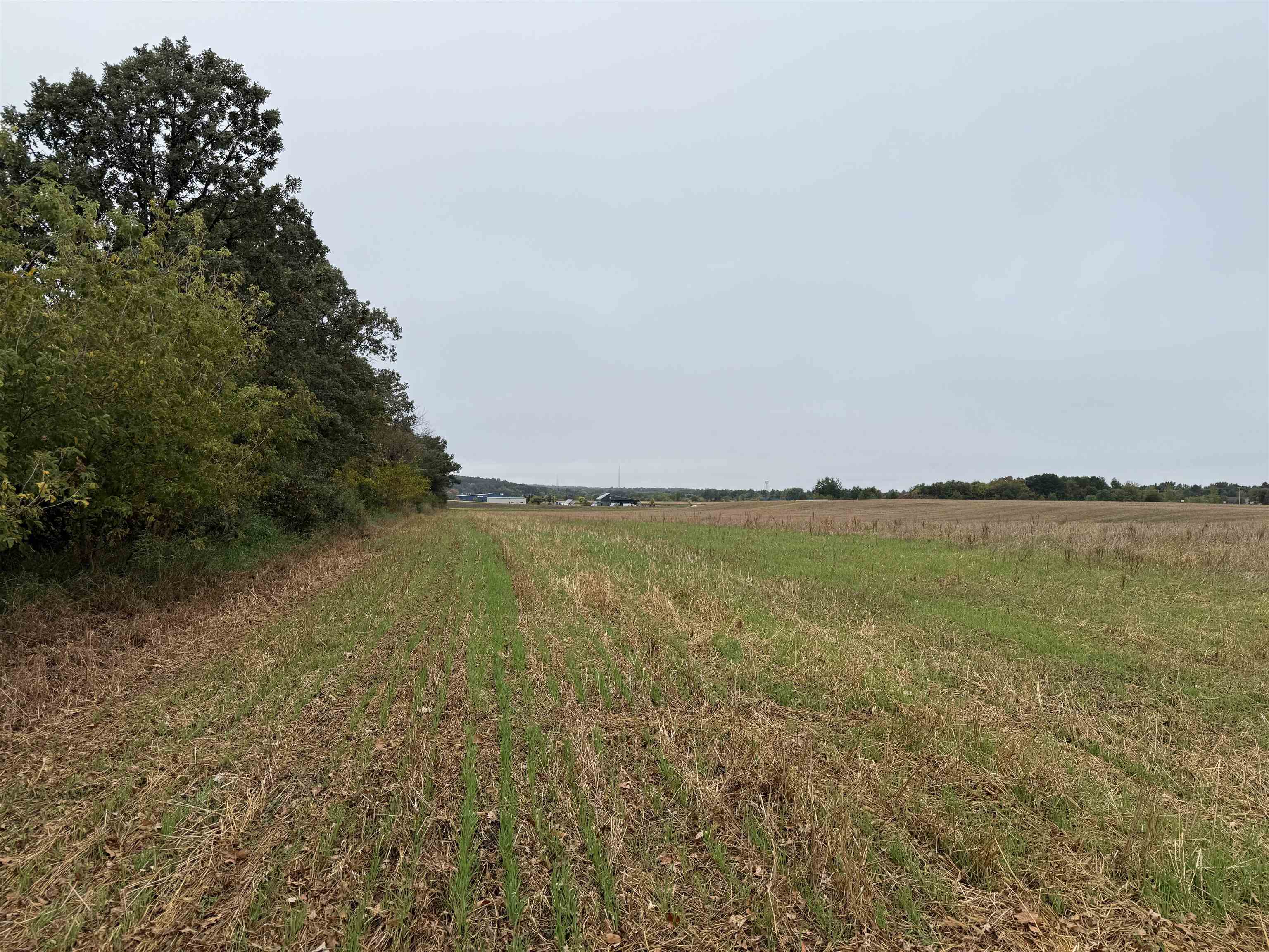 00 COUNTY ROAD V, Amherst, Wisconsin 54406, ,Commercial/industrial,For Sale,00 COUNTY ROAD V,22504555