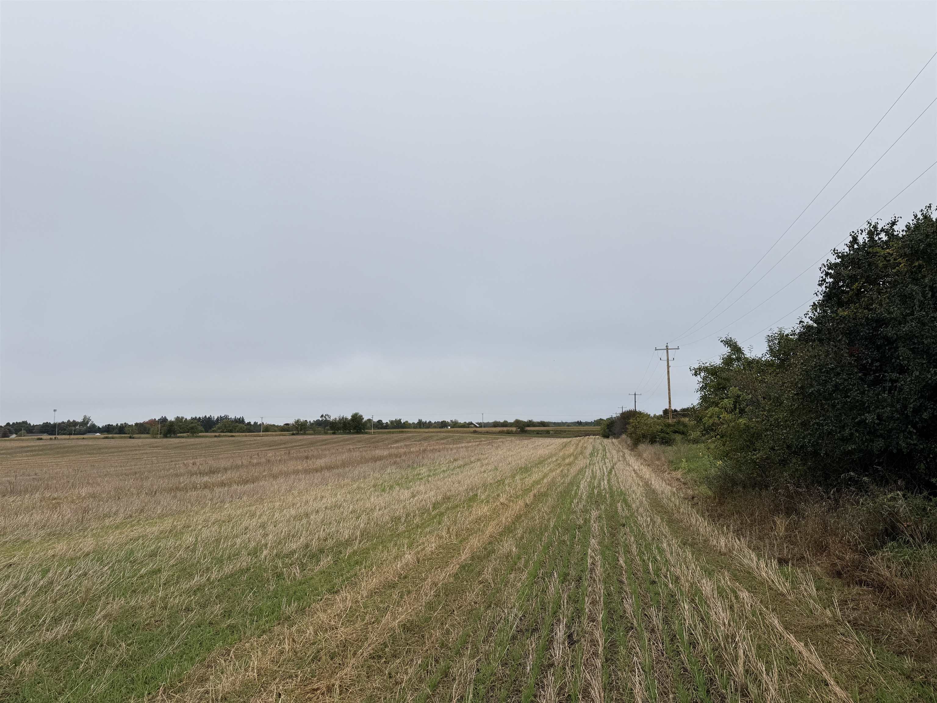 00 COUNTY ROAD V, Amherst, Wisconsin 54406, ,Commercial/industrial,For Sale,00 COUNTY ROAD V,22504555