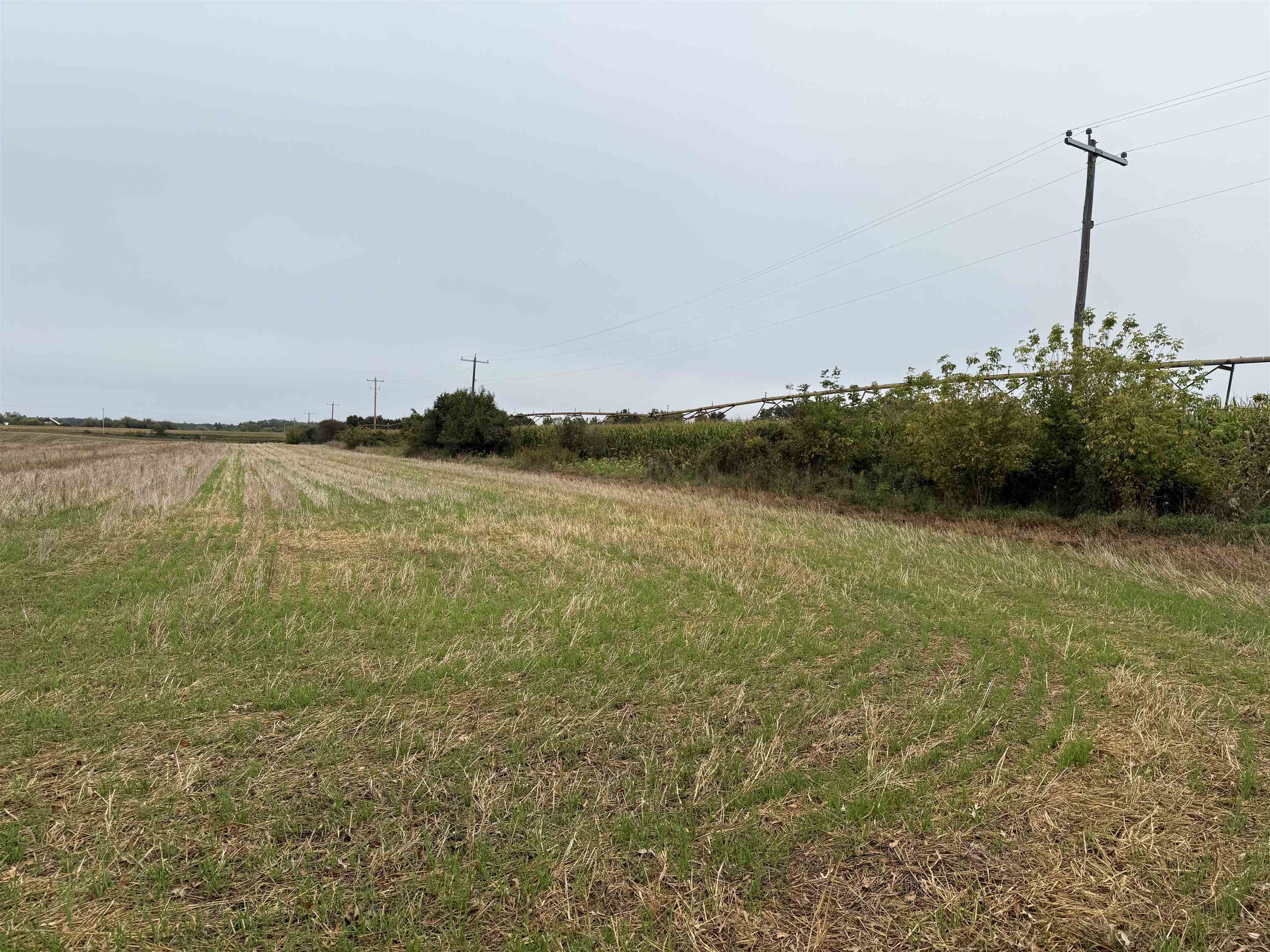 00 COUNTY ROAD V, Amherst, Wisconsin 54406, ,Land,For Sale,00 COUNTY ROAD V,22504565