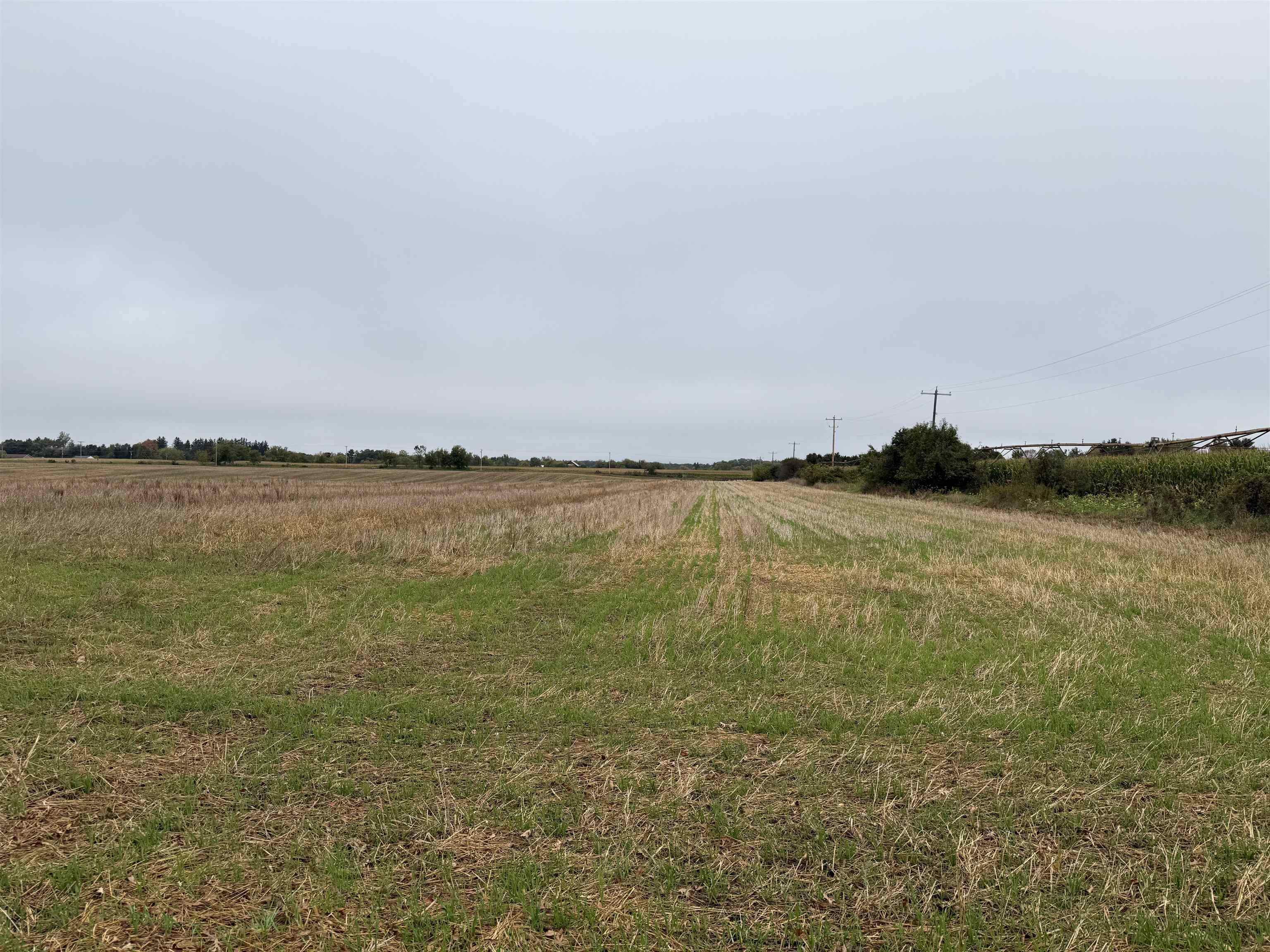 00 COUNTY ROAD V, Amherst, Wisconsin 54406, ,Land,For Sale,00 COUNTY ROAD V,22504565