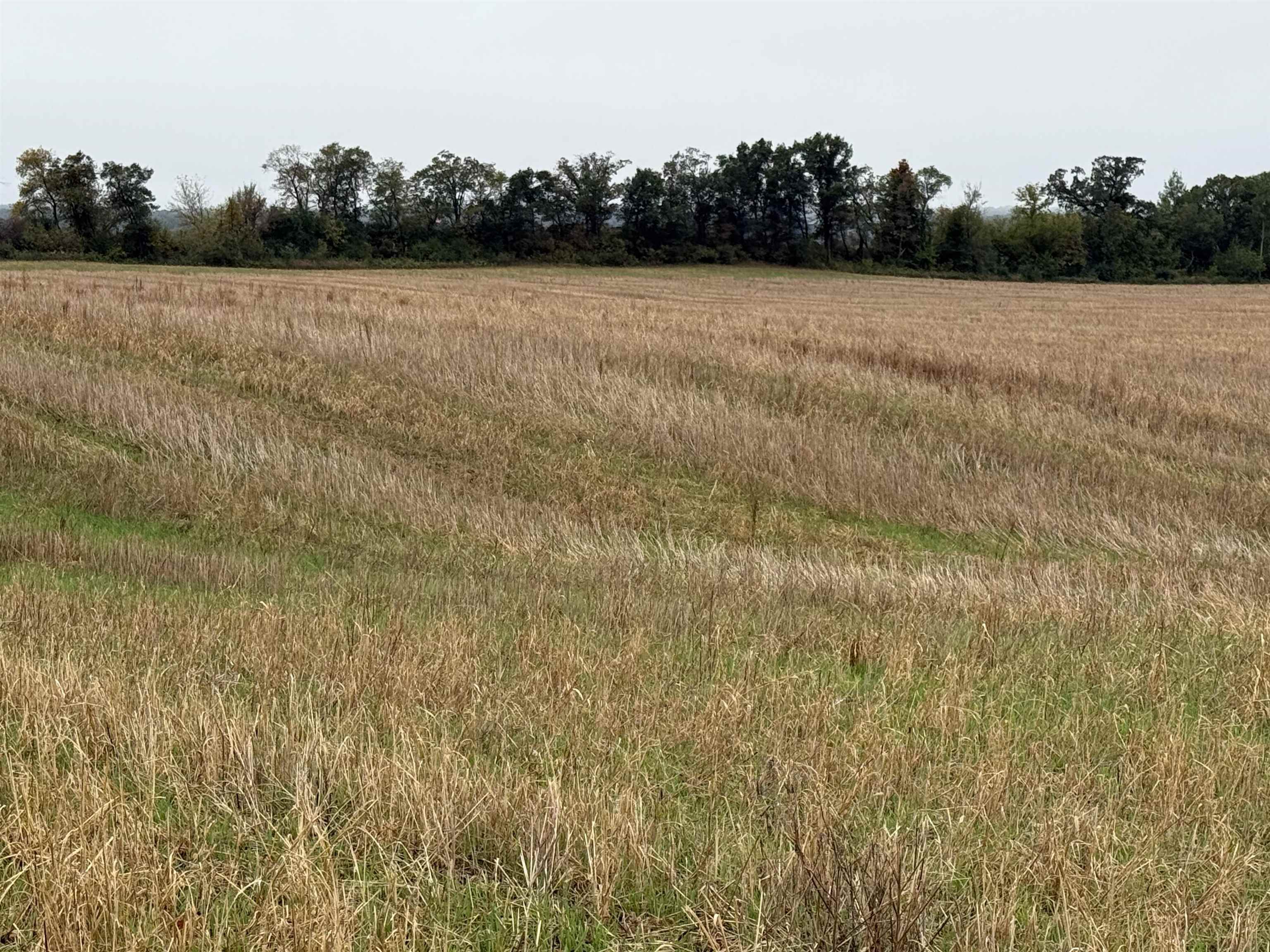 00 COUNTY ROAD V, Amherst, Wisconsin 54406, ,Land,For Sale,00 COUNTY ROAD V,22504565