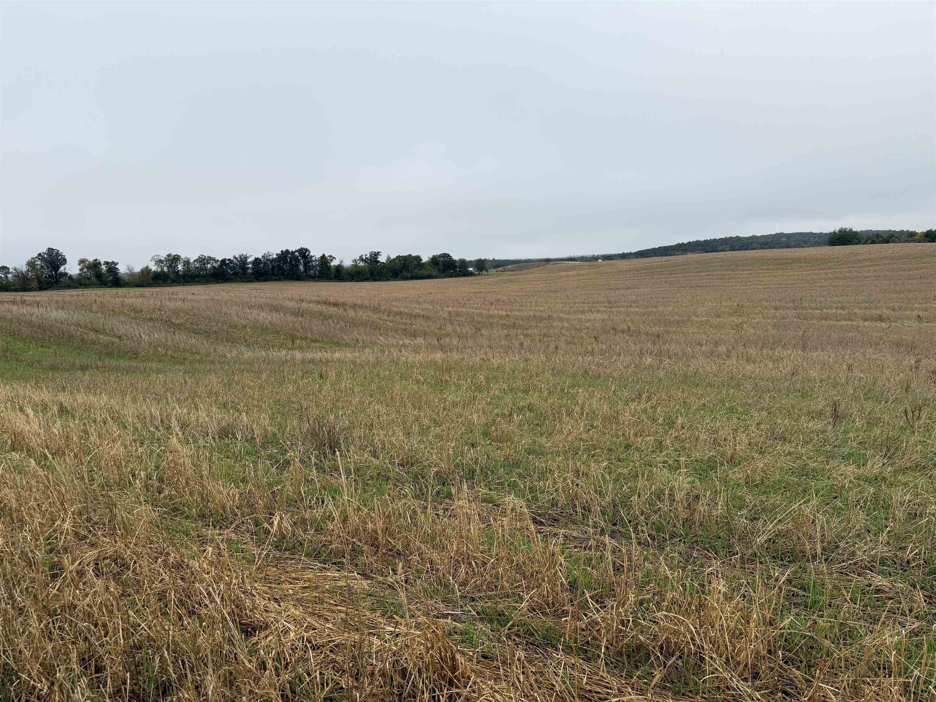 00 COUNTY ROAD V, Amherst, Wisconsin 54406, ,Land,For Sale,00 COUNTY ROAD V,22504565