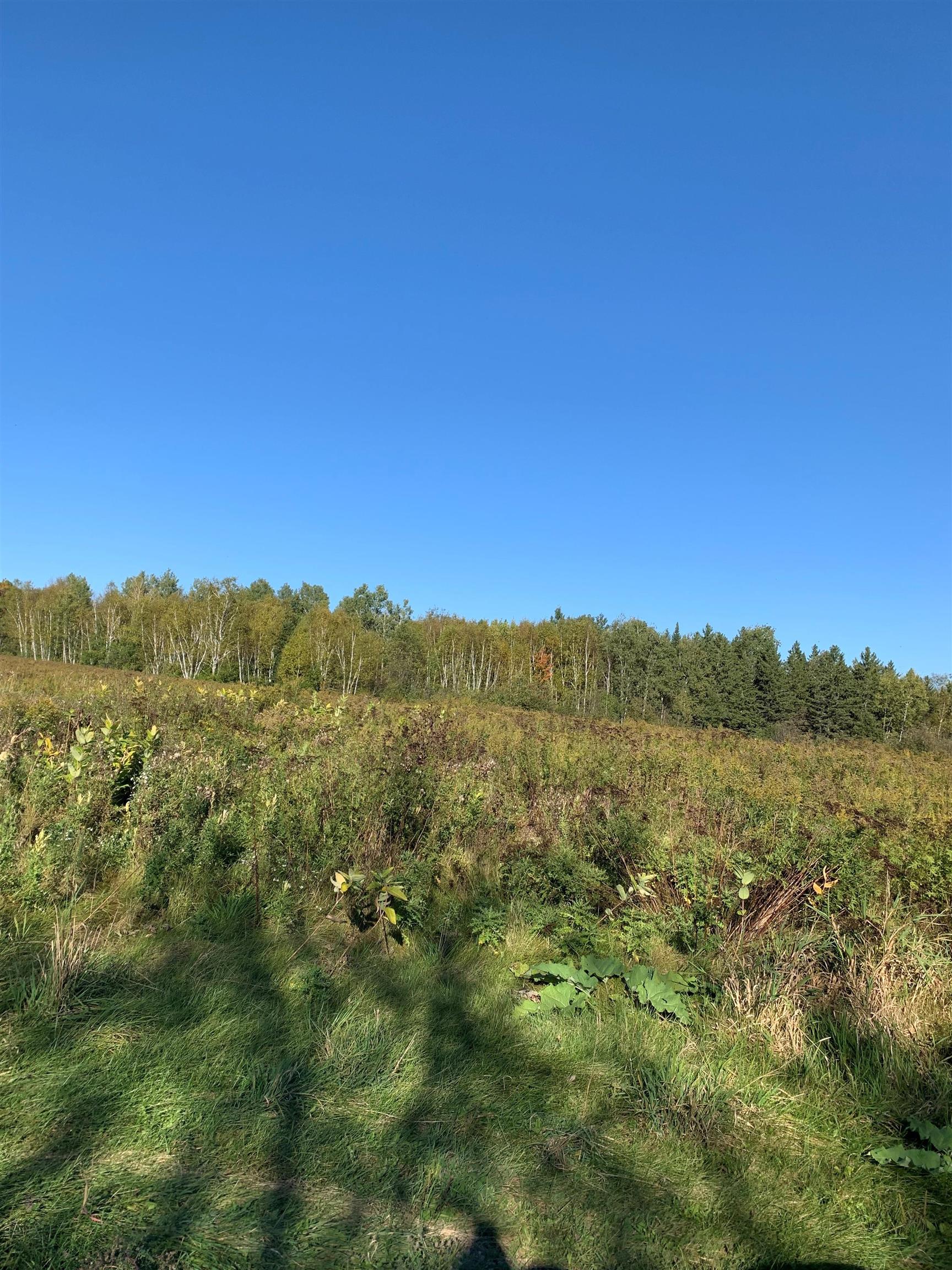 48.6 COUNTY ROAD JJ, Merrill, Wisconsin 54452, ,Land,For Sale,48.6 COUNTY ROAD JJ,22504629