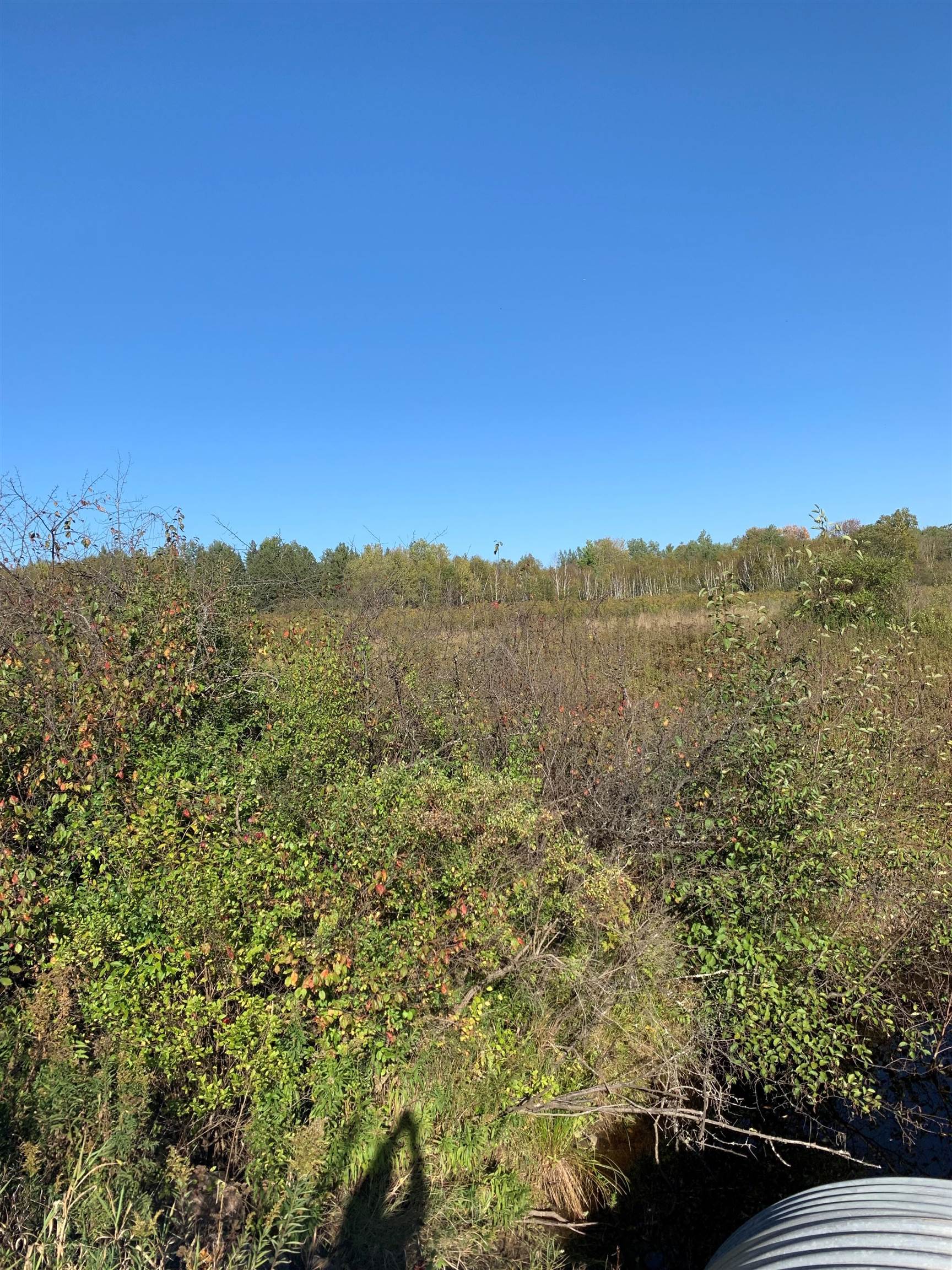 48.6 COUNTY ROAD JJ, Merrill, Wisconsin 54452, ,Land,For Sale,48.6 COUNTY ROAD JJ,22504629