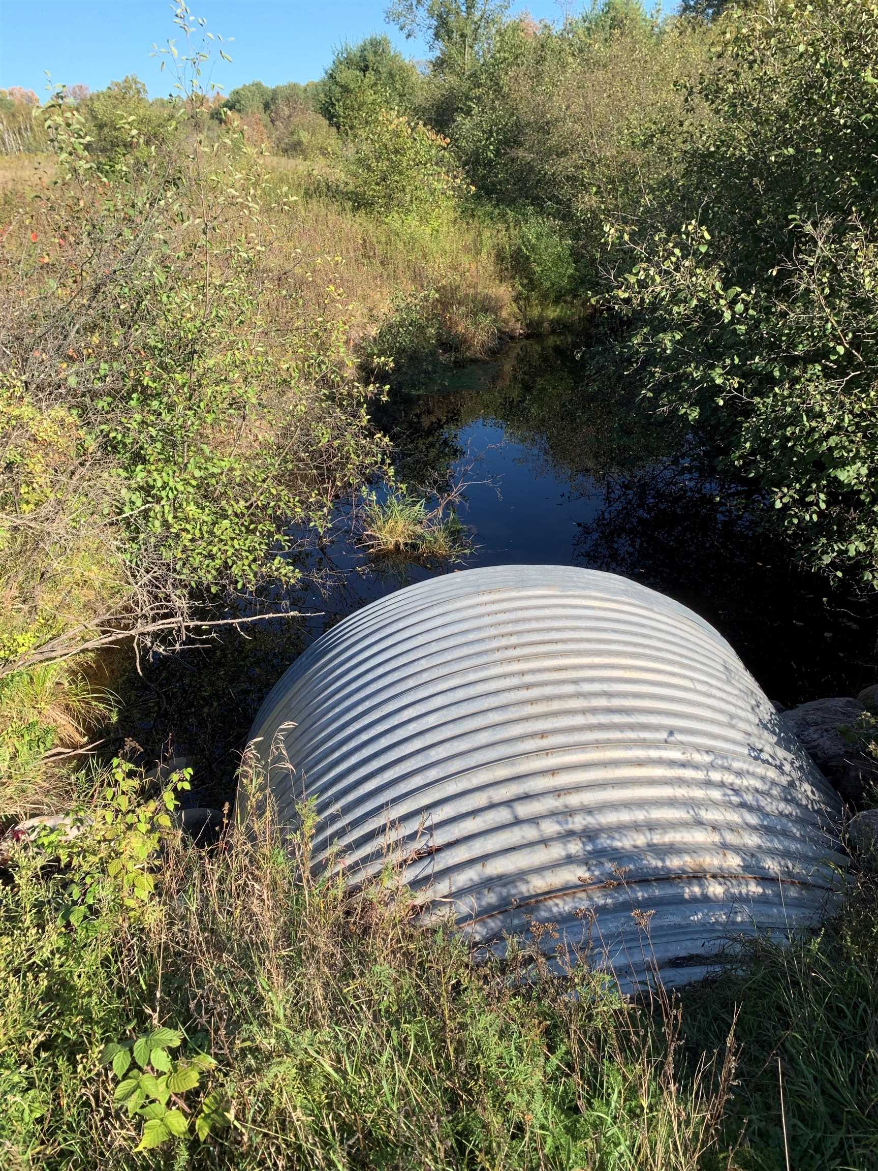 48.6 COUNTY ROAD JJ, Merrill, Wisconsin 54452, ,Land,For Sale,48.6 COUNTY ROAD JJ,22504629