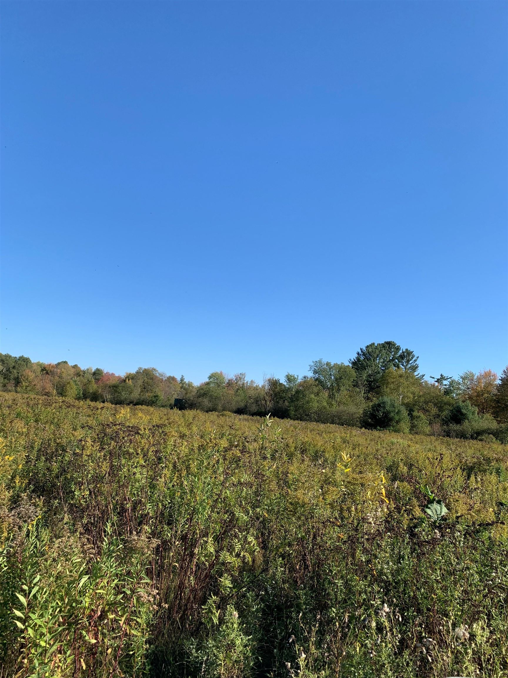 48.6 COUNTY ROAD JJ, Merrill, Wisconsin 54452, ,Land,For Sale,48.6 COUNTY ROAD JJ,22504629