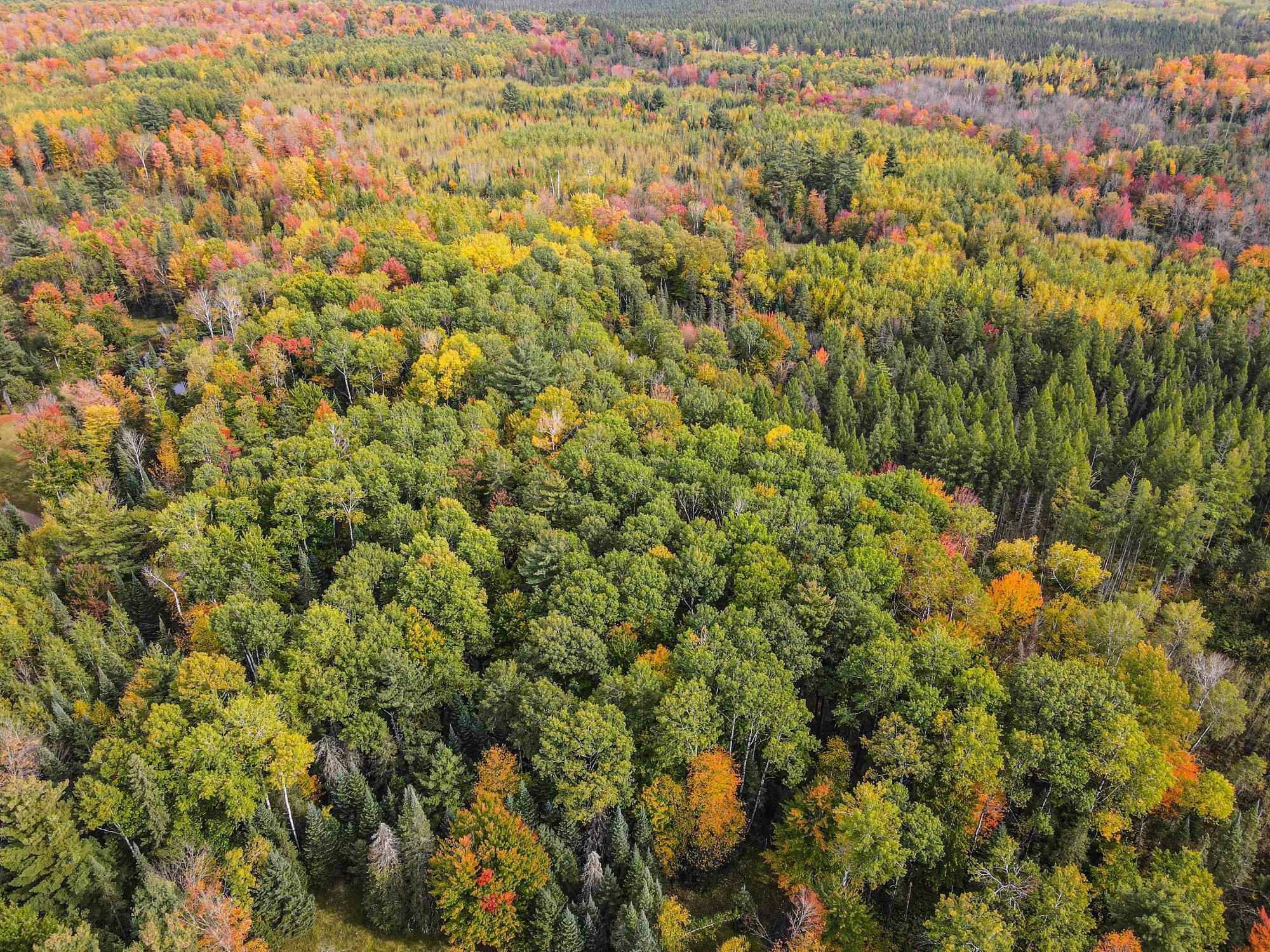 N12668 HICKS LANDING ROAD, Fifield, Wisconsin 54524, 2 Bedrooms Bedrooms, ,1 BathroomBathrooms,Residential,For Sale,N12668 HICKS LANDING ROAD,22504820