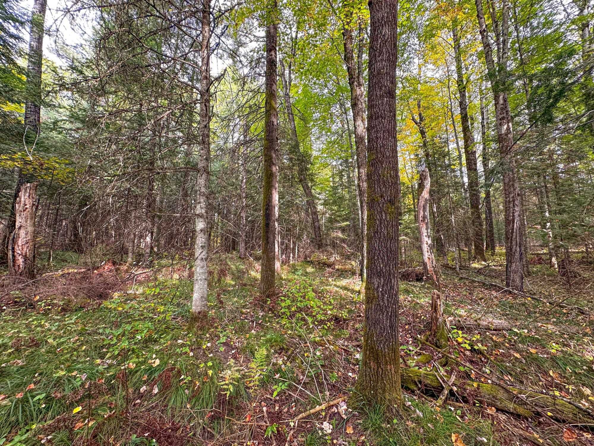 N12668 HICKS LANDING ROAD, Fifield, Wisconsin 54524, 2 Bedrooms Bedrooms, ,1 BathroomBathrooms,Residential,For Sale,N12668 HICKS LANDING ROAD,22504820