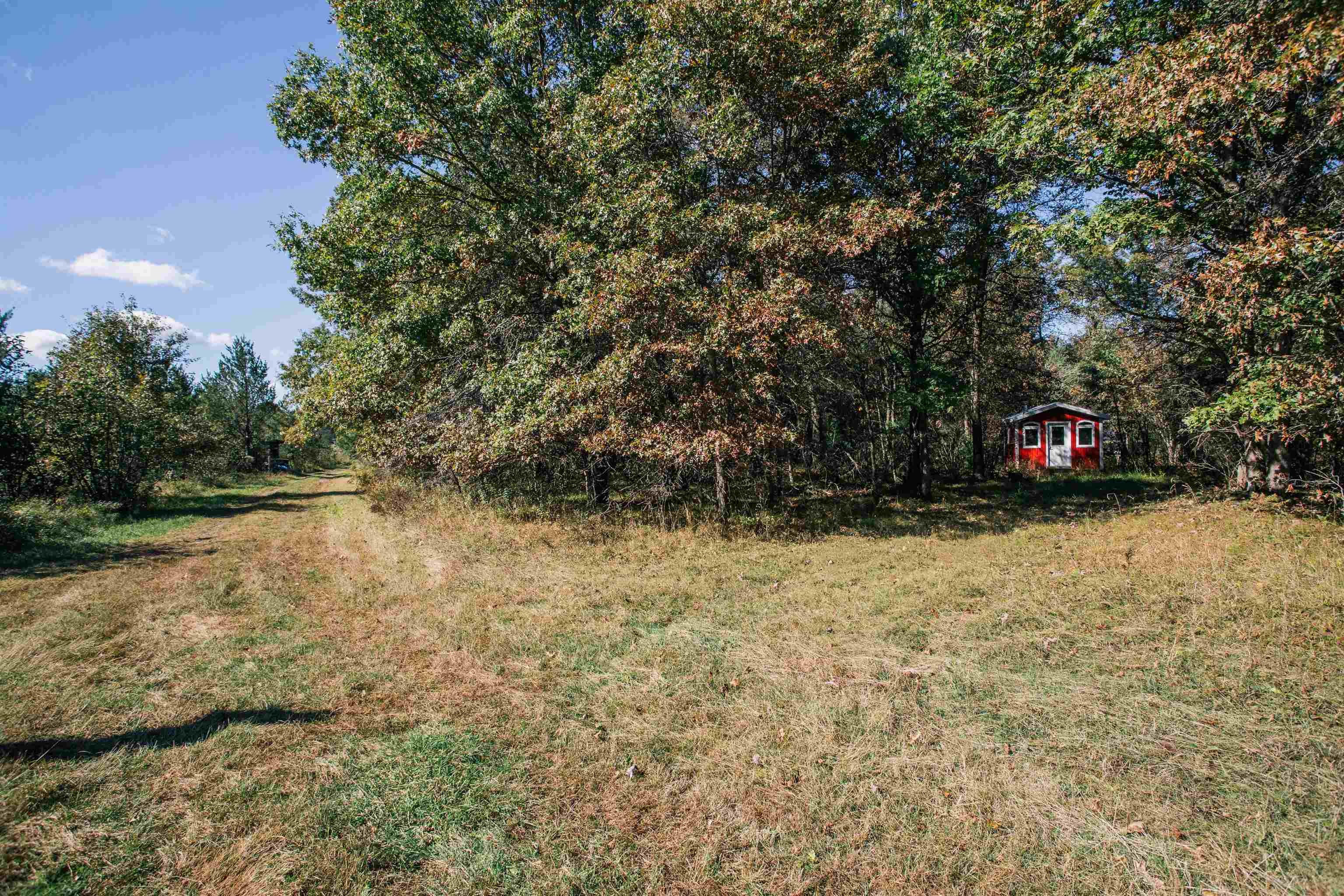 81 Acres ANDERSON ROAD, Neillsville, Wisconsin 54456, ,Land,For Sale,81 Acres ANDERSON ROAD,22504866