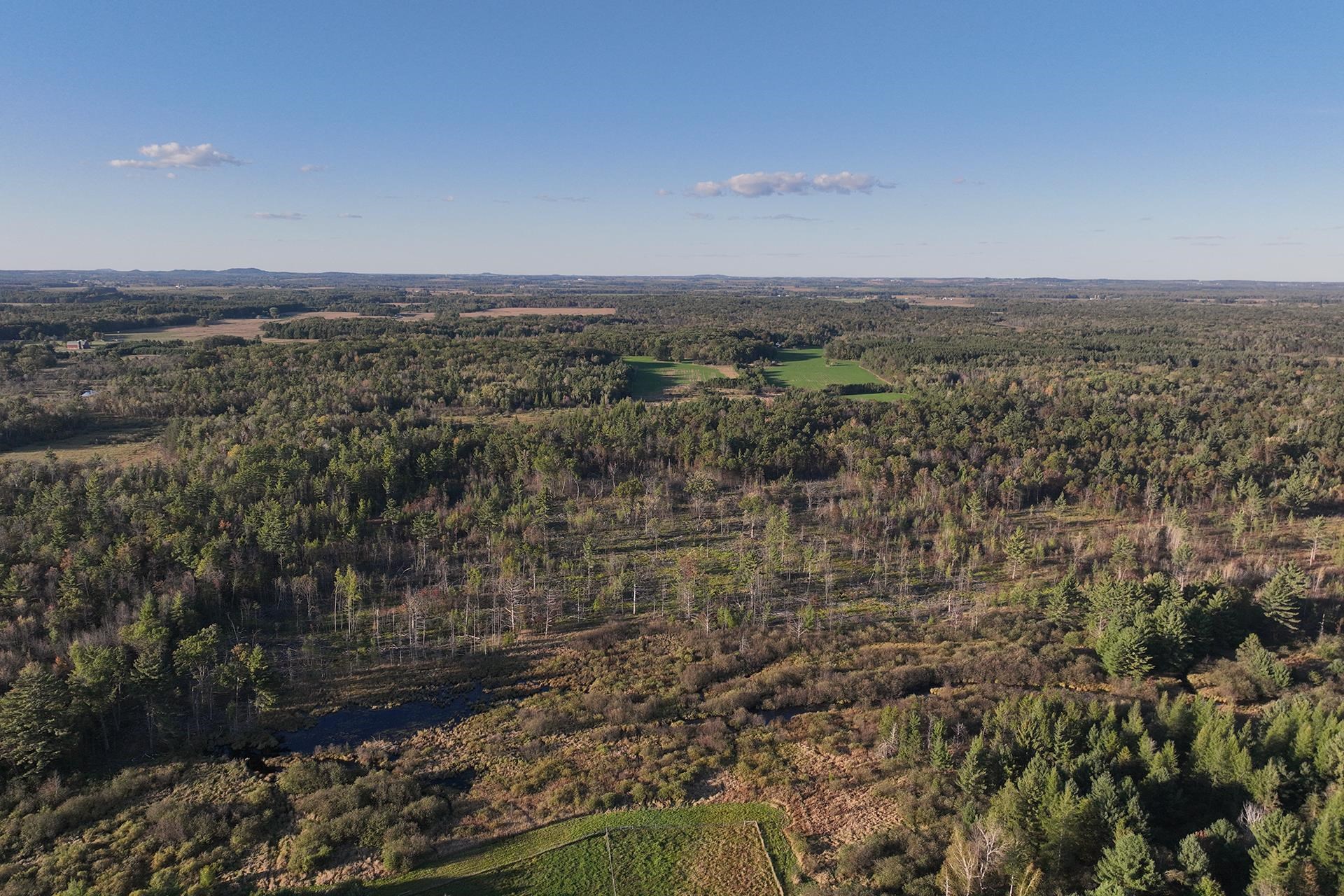 81 Acres ANDERSON ROAD, Neillsville, Wisconsin 54456, ,Land,For Sale,81 Acres ANDERSON ROAD,22504866