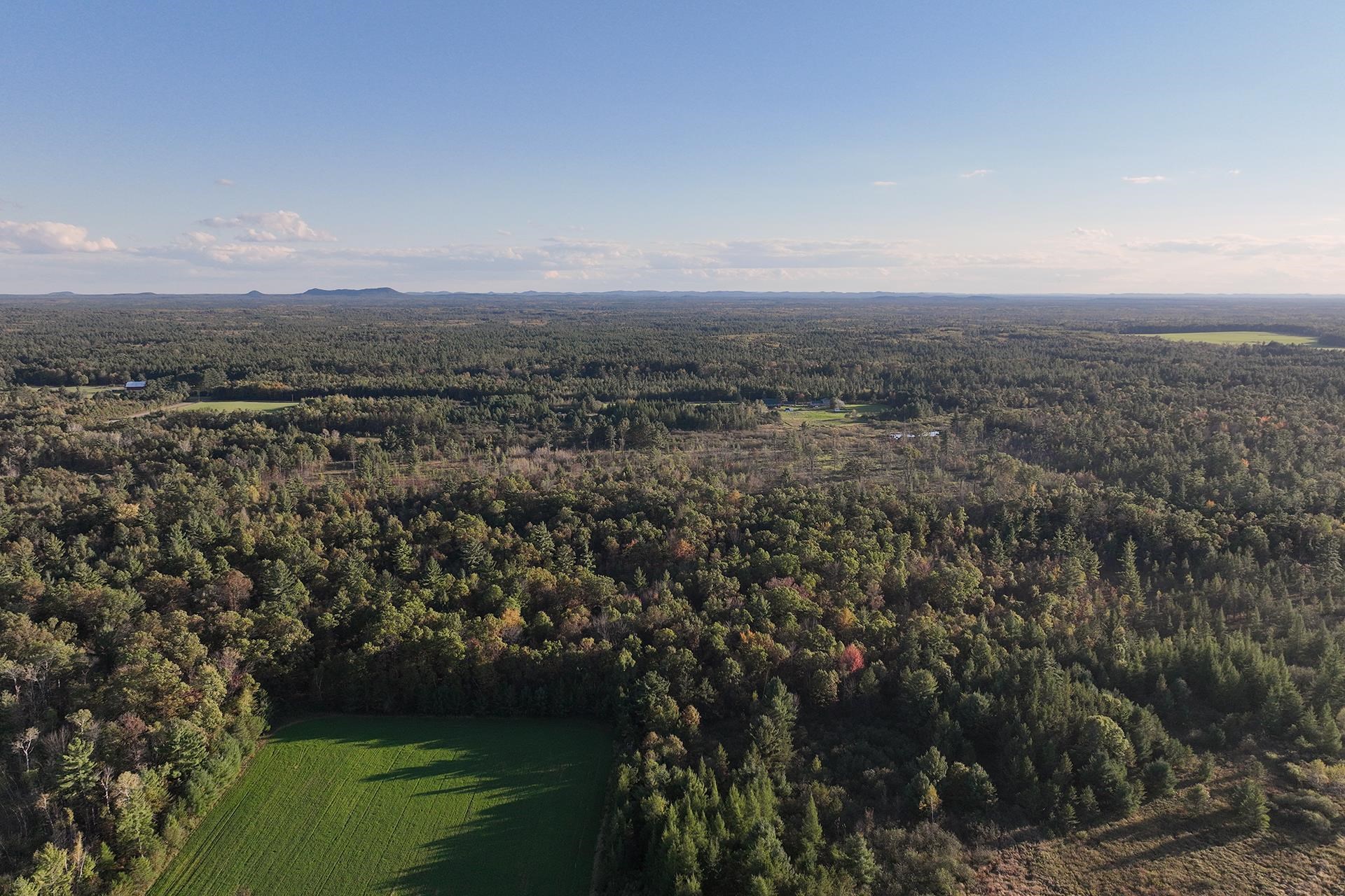 81 Acres ANDERSON ROAD, Neillsville, Wisconsin 54456, ,Land,For Sale,81 Acres ANDERSON ROAD,22504866