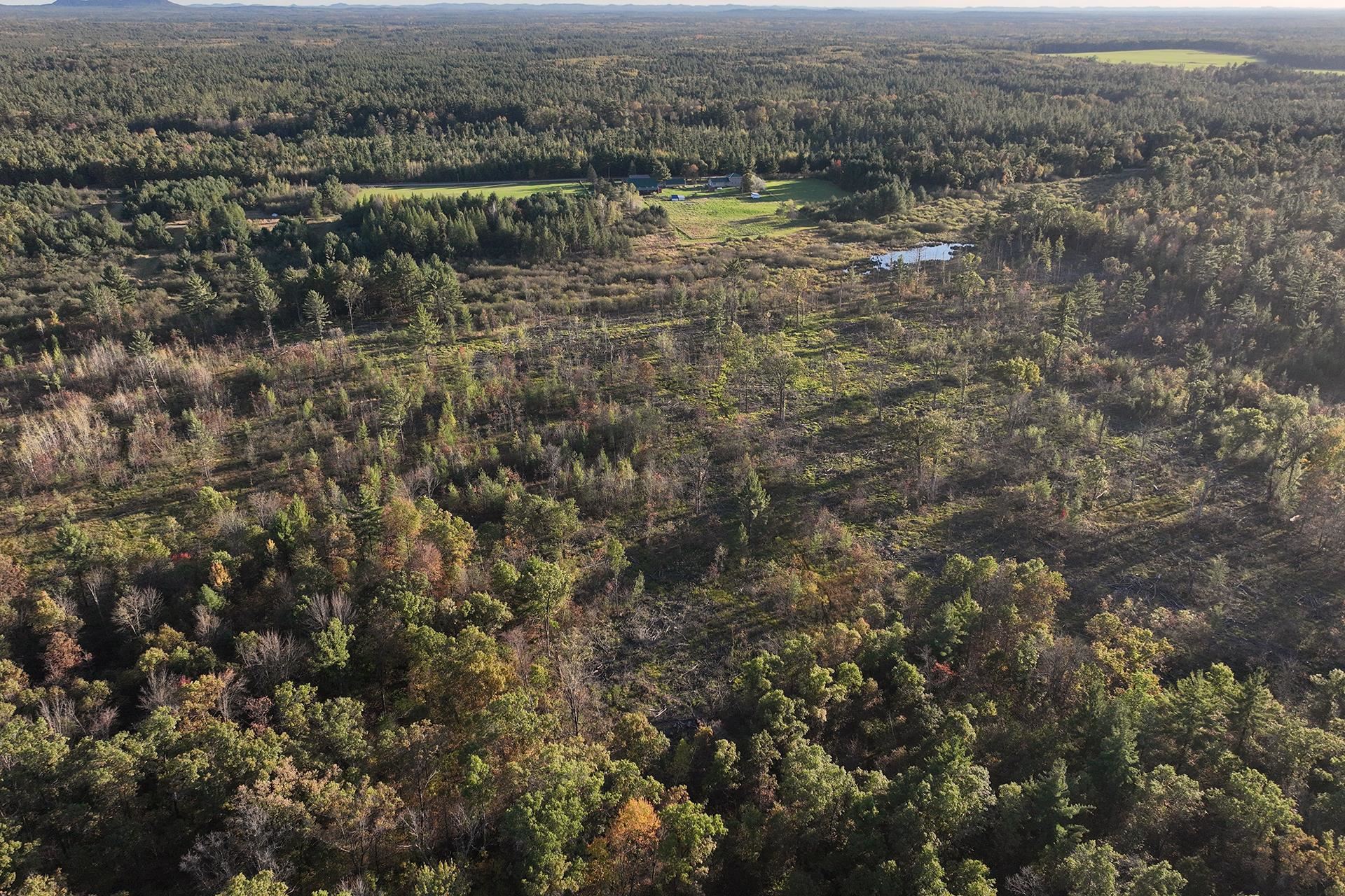 81 Acres ANDERSON ROAD, Neillsville, Wisconsin 54456, ,Land,For Sale,81 Acres ANDERSON ROAD,22504866